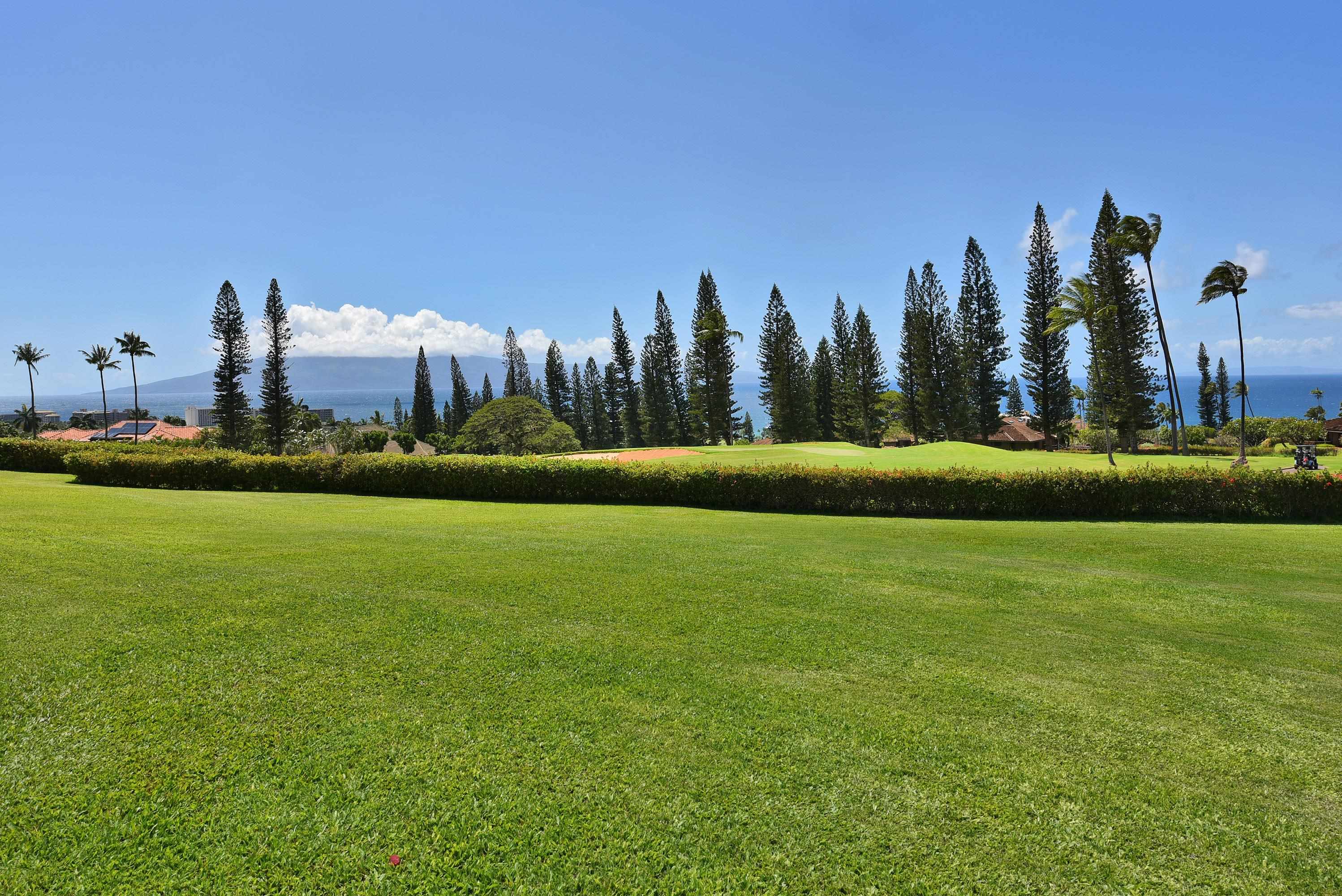 Masters condo # 2206, Lahaina, Hawaii - photo 43 of 50