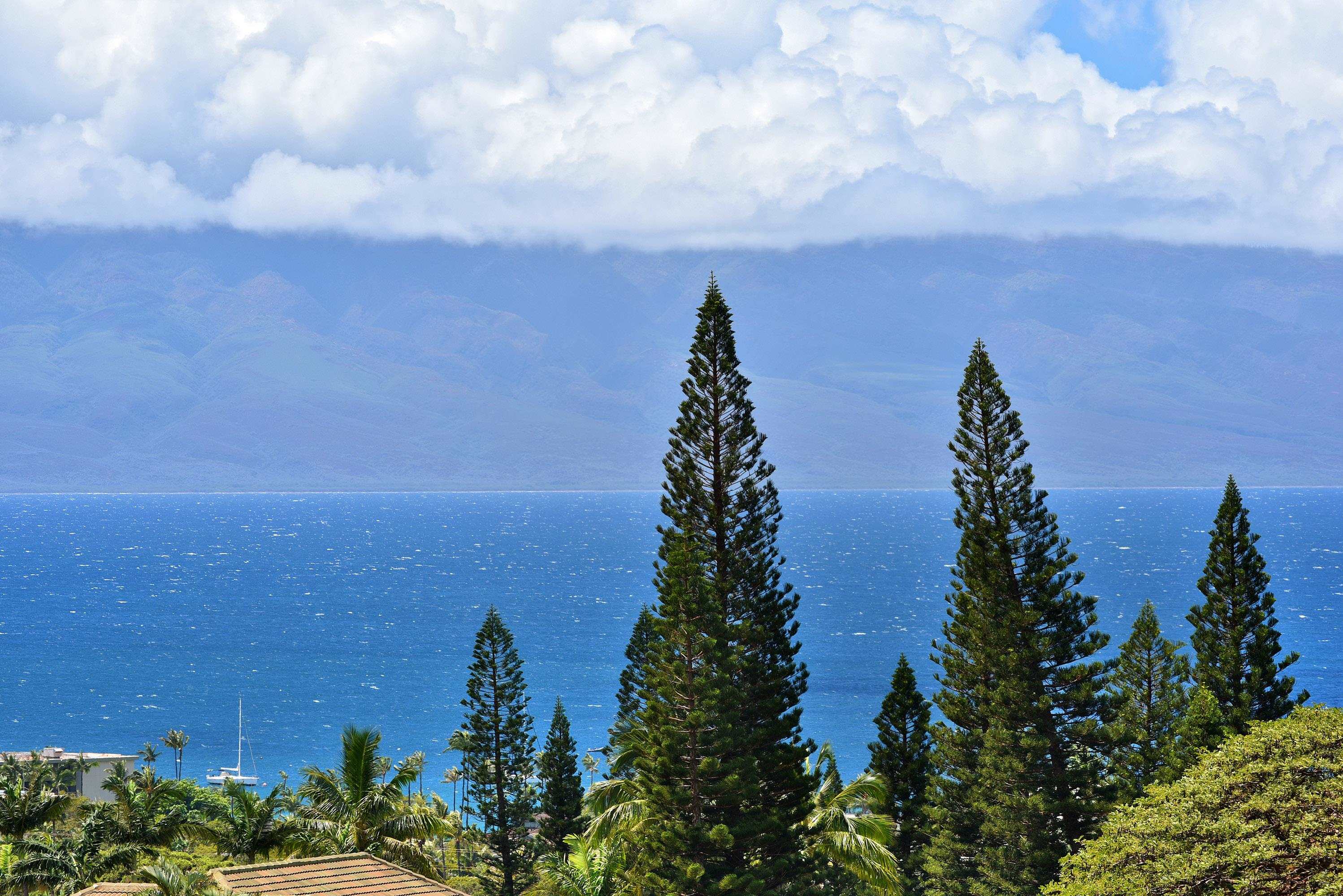 Masters condo # 2206, Lahaina, Hawaii - photo 6 of 50