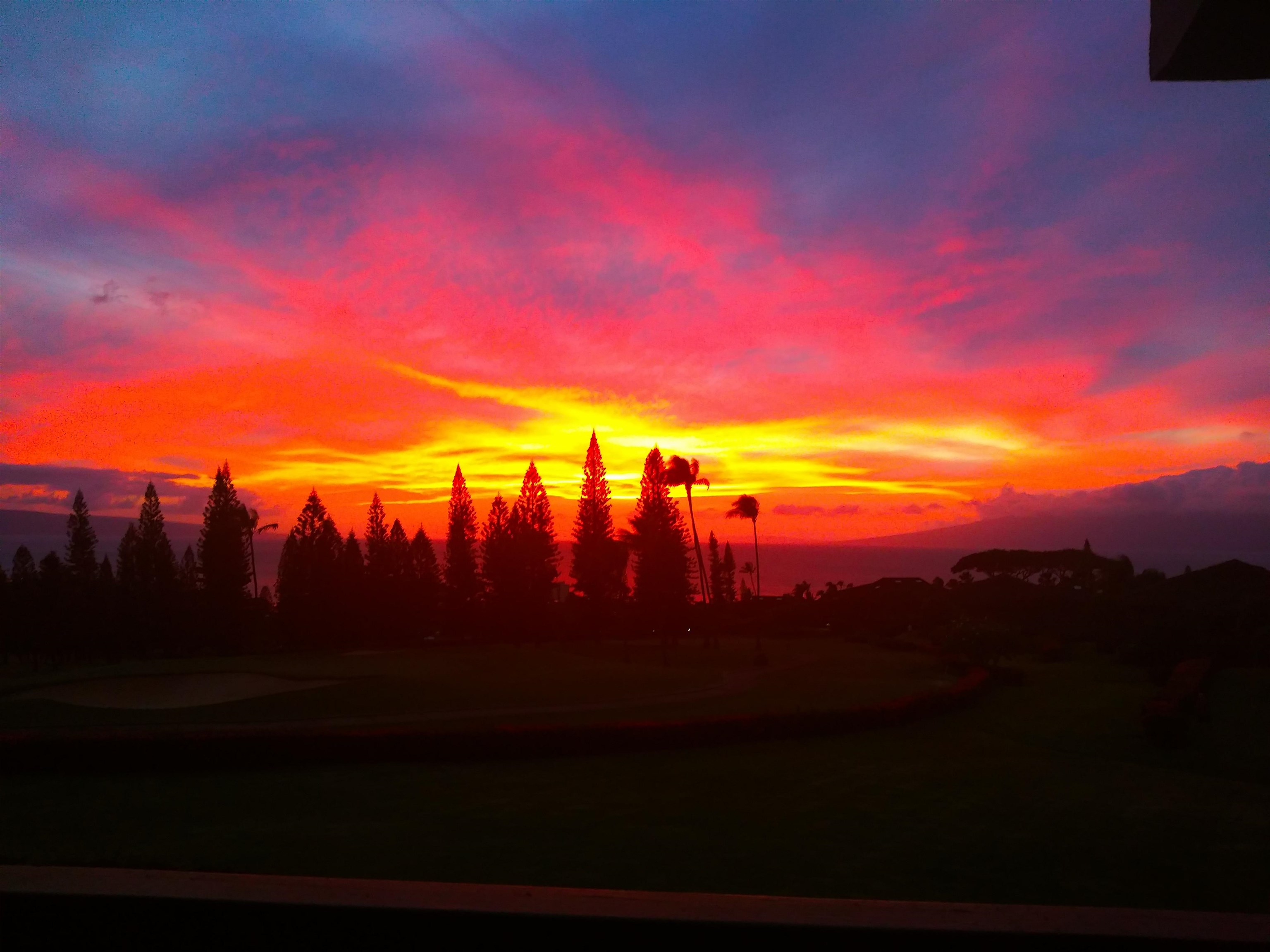 Masters condo # 2302, Lahaina, Hawaii - photo 43 of 44