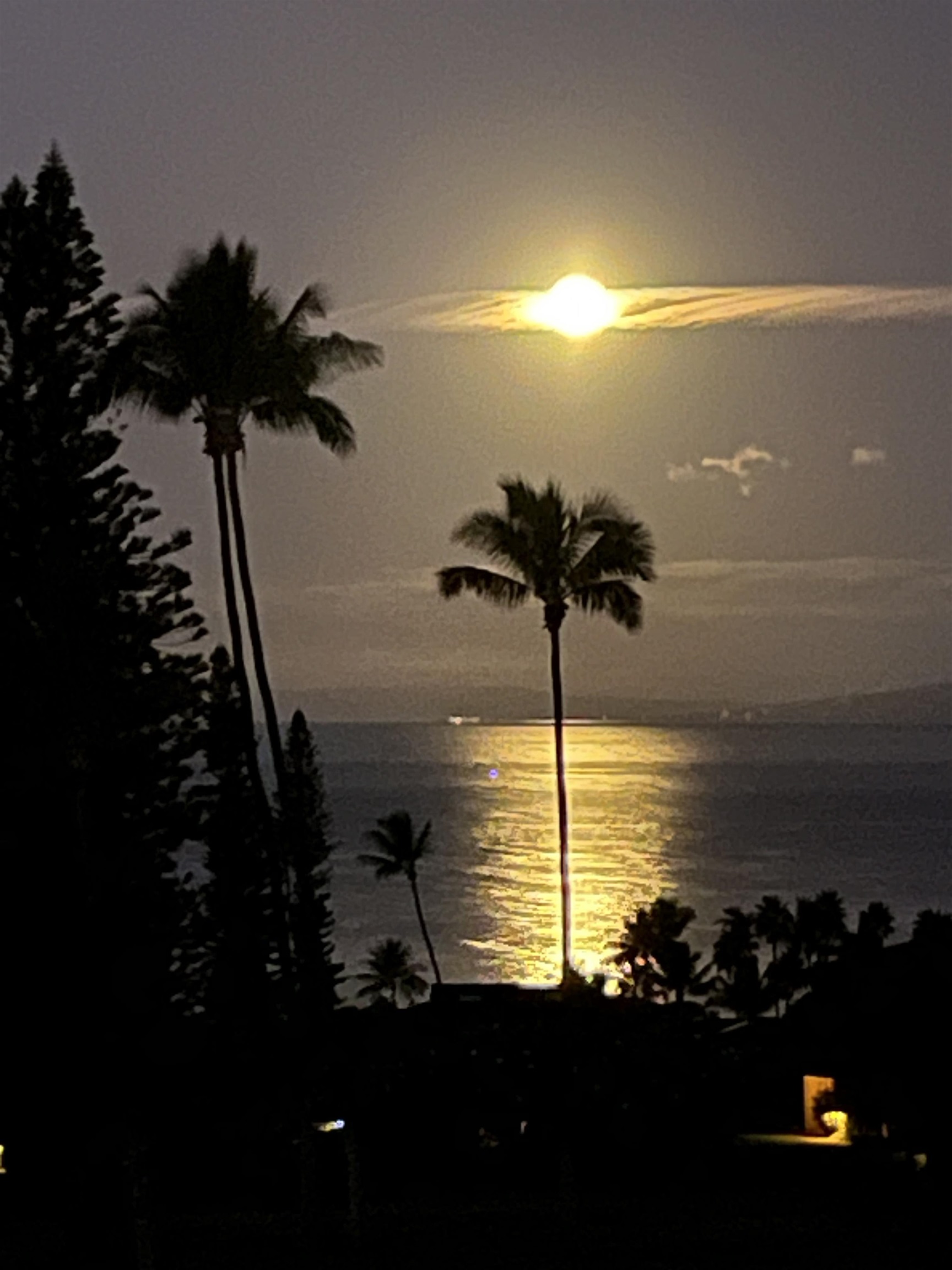 Masters condo # 2302, Lahaina, Hawaii - photo 44 of 44