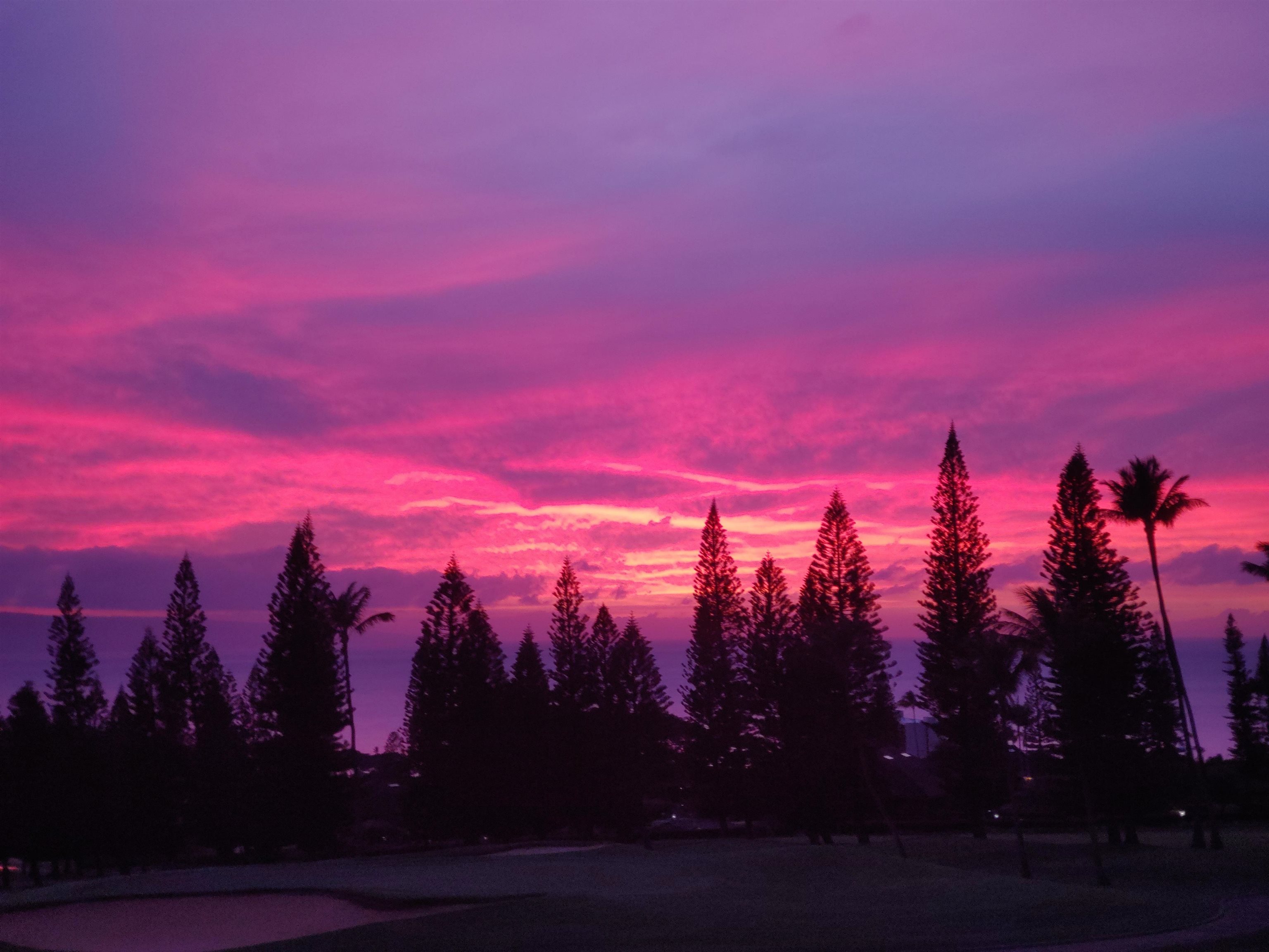 Masters condo # 2302, Lahaina, Hawaii - photo 9 of 47