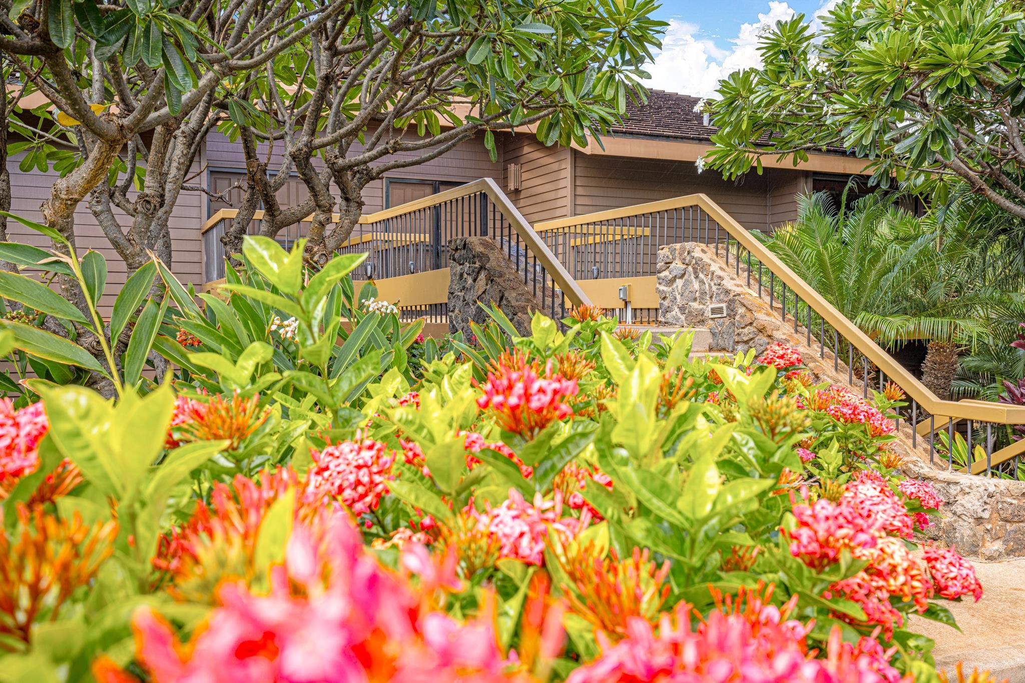 Masters condo # 2304, Lahaina, Hawaii - photo 38 of 44