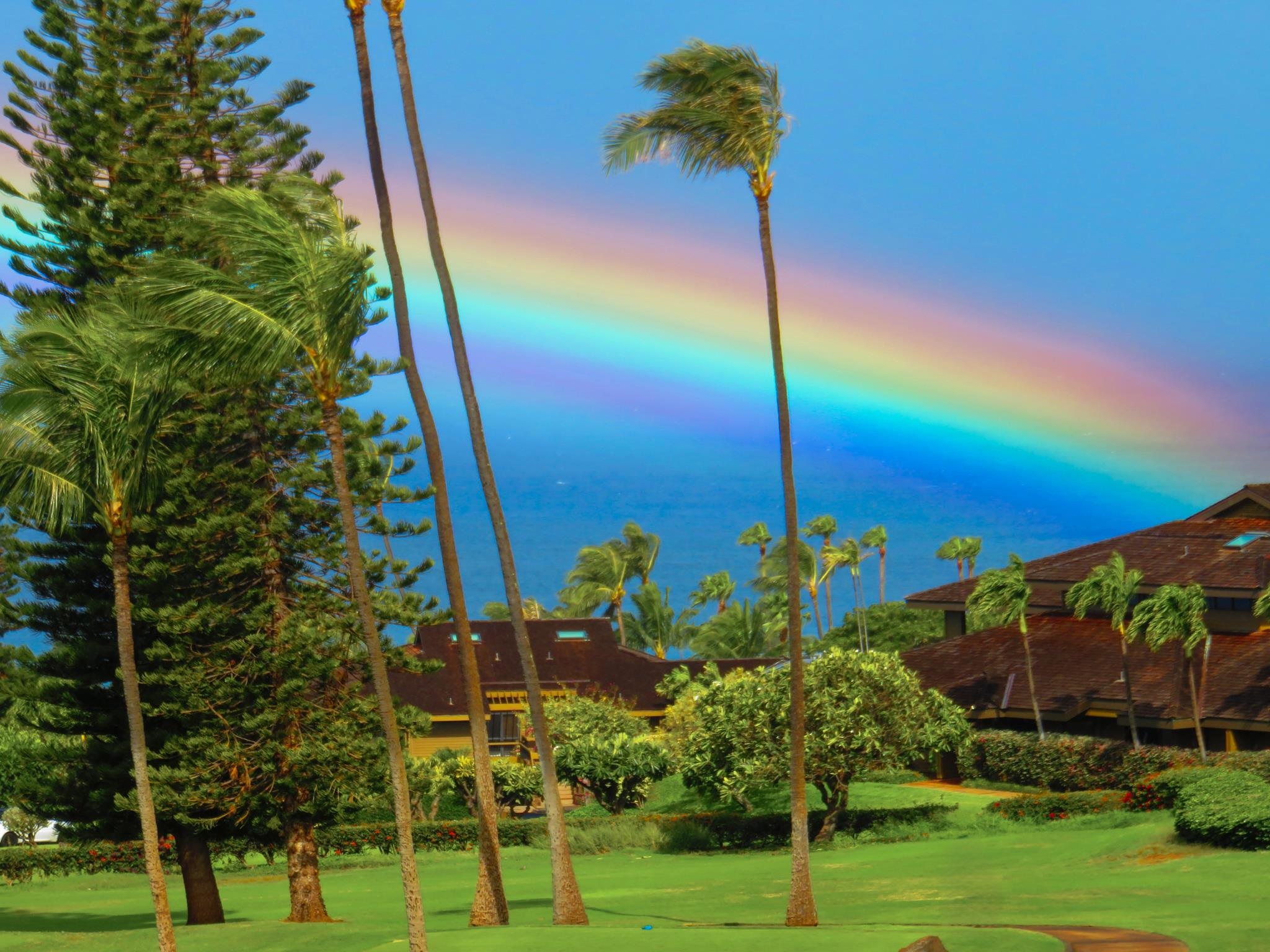 Masters condo # 2304, Lahaina, Hawaii - photo 6 of 44