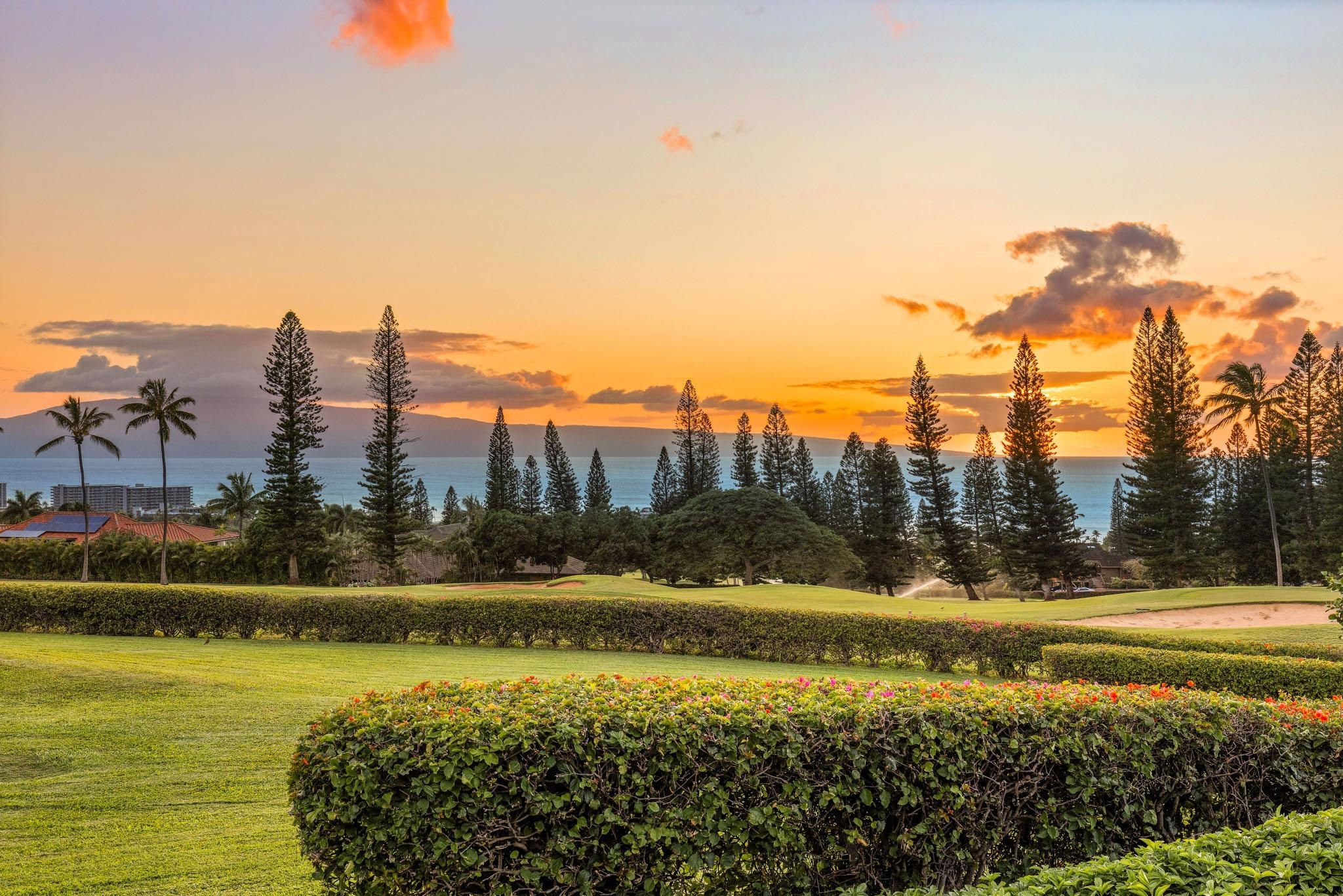 Masters condo # 2305, Lahaina, Hawaii - photo 34 of 36