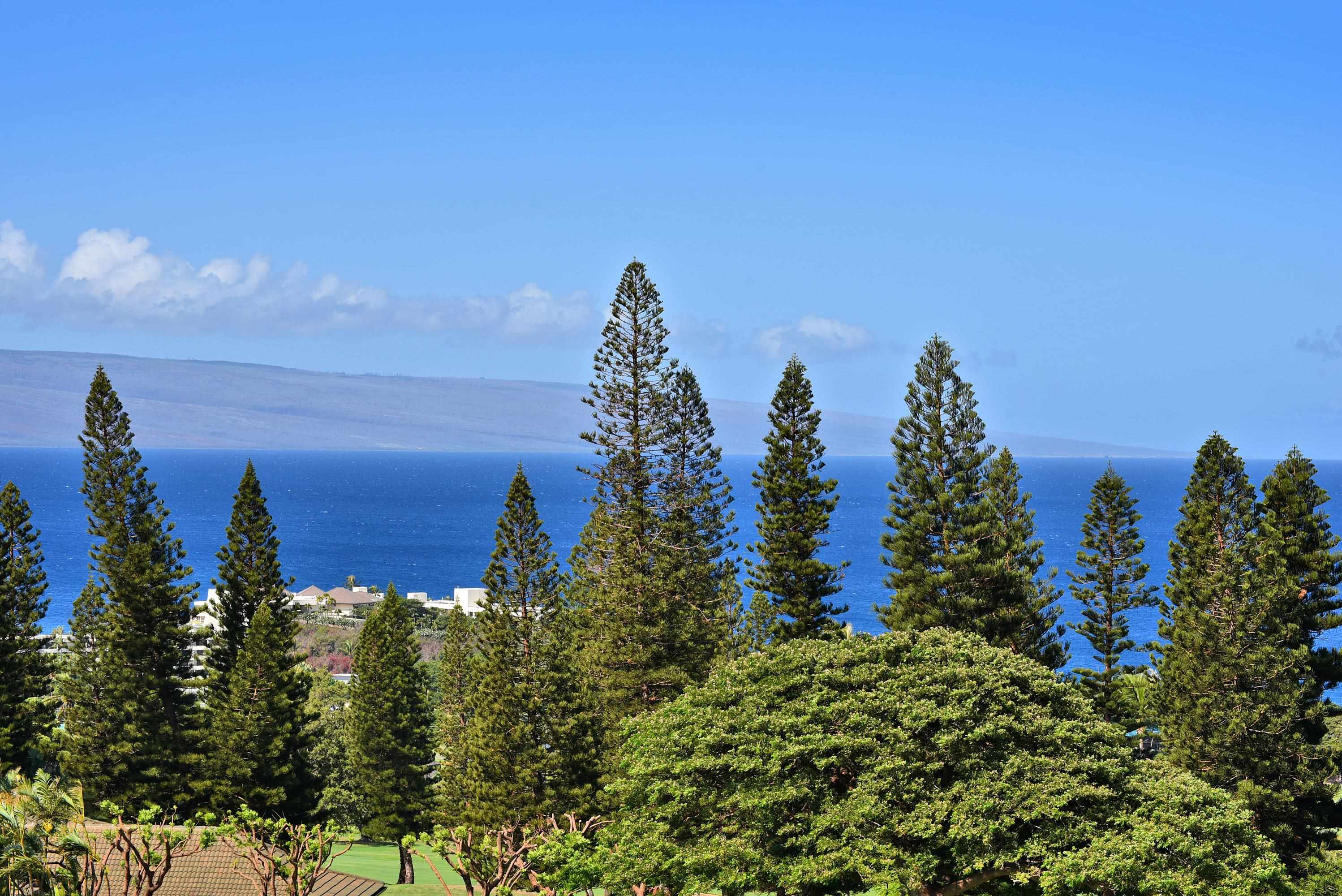 Masters condo # 2602, Lahaina, Hawaii - photo 11 of 50