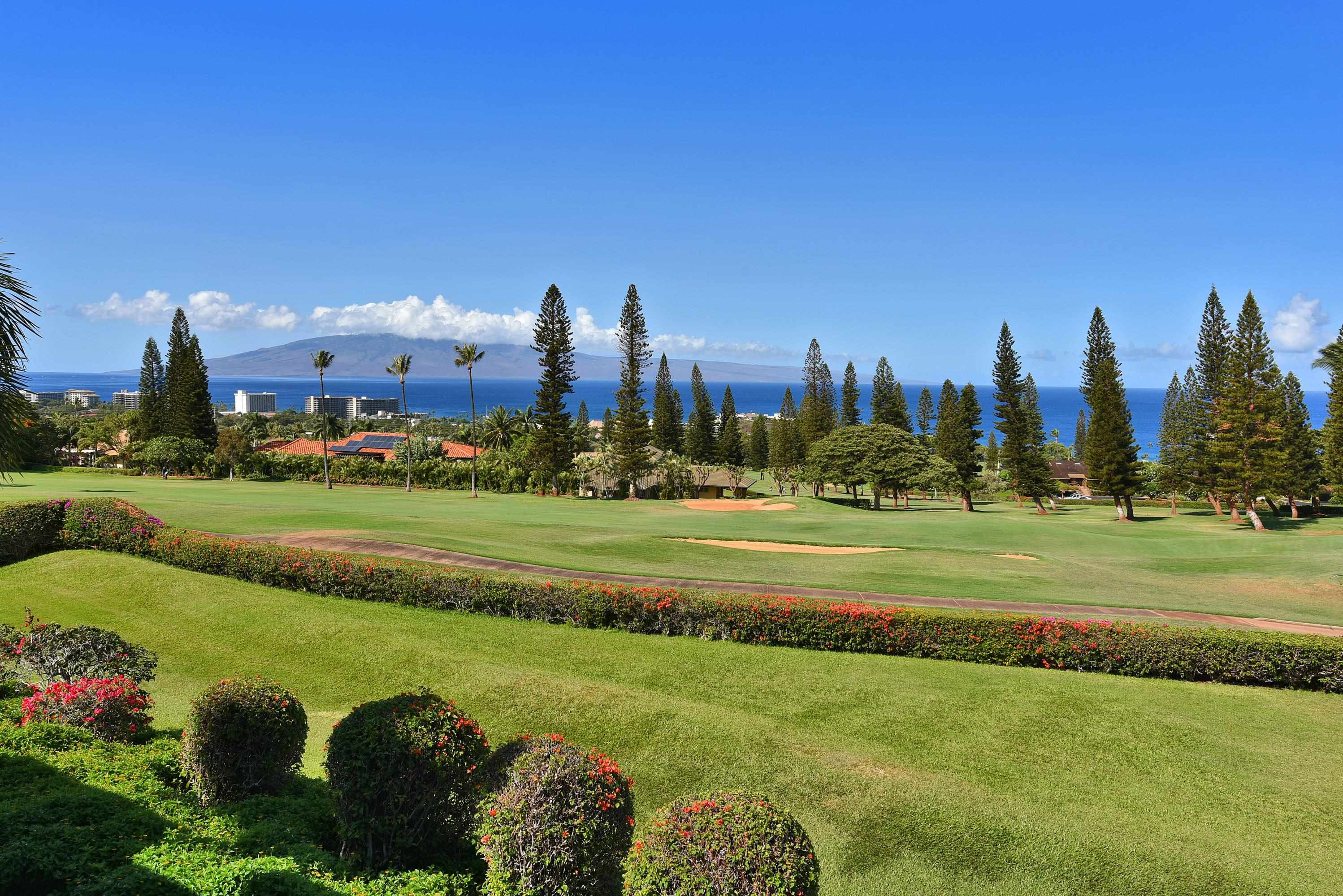 Masters condo # 2602, Lahaina, Hawaii - photo 44 of 50