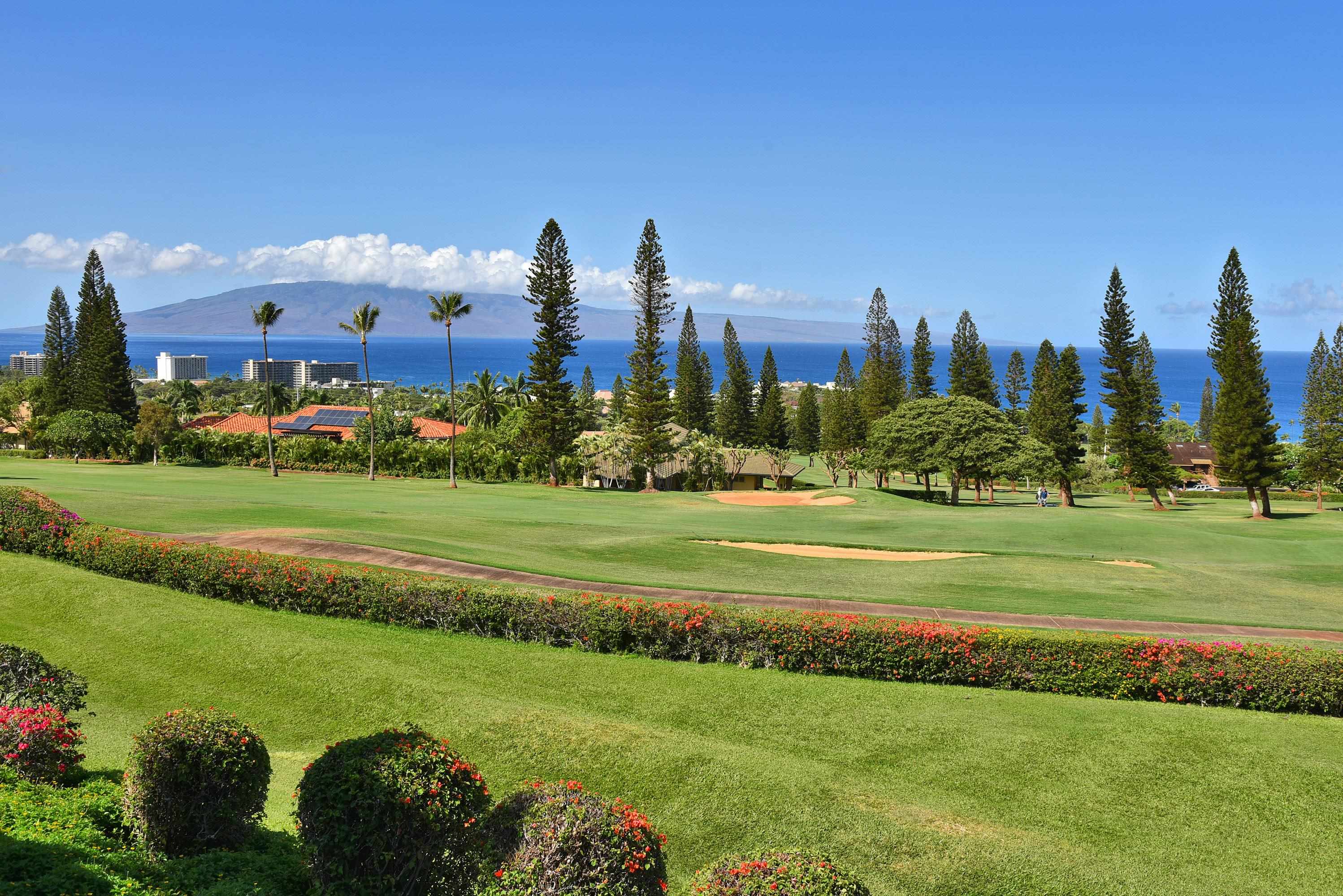Masters condo # 2602, Lahaina, Hawaii - photo 6 of 50