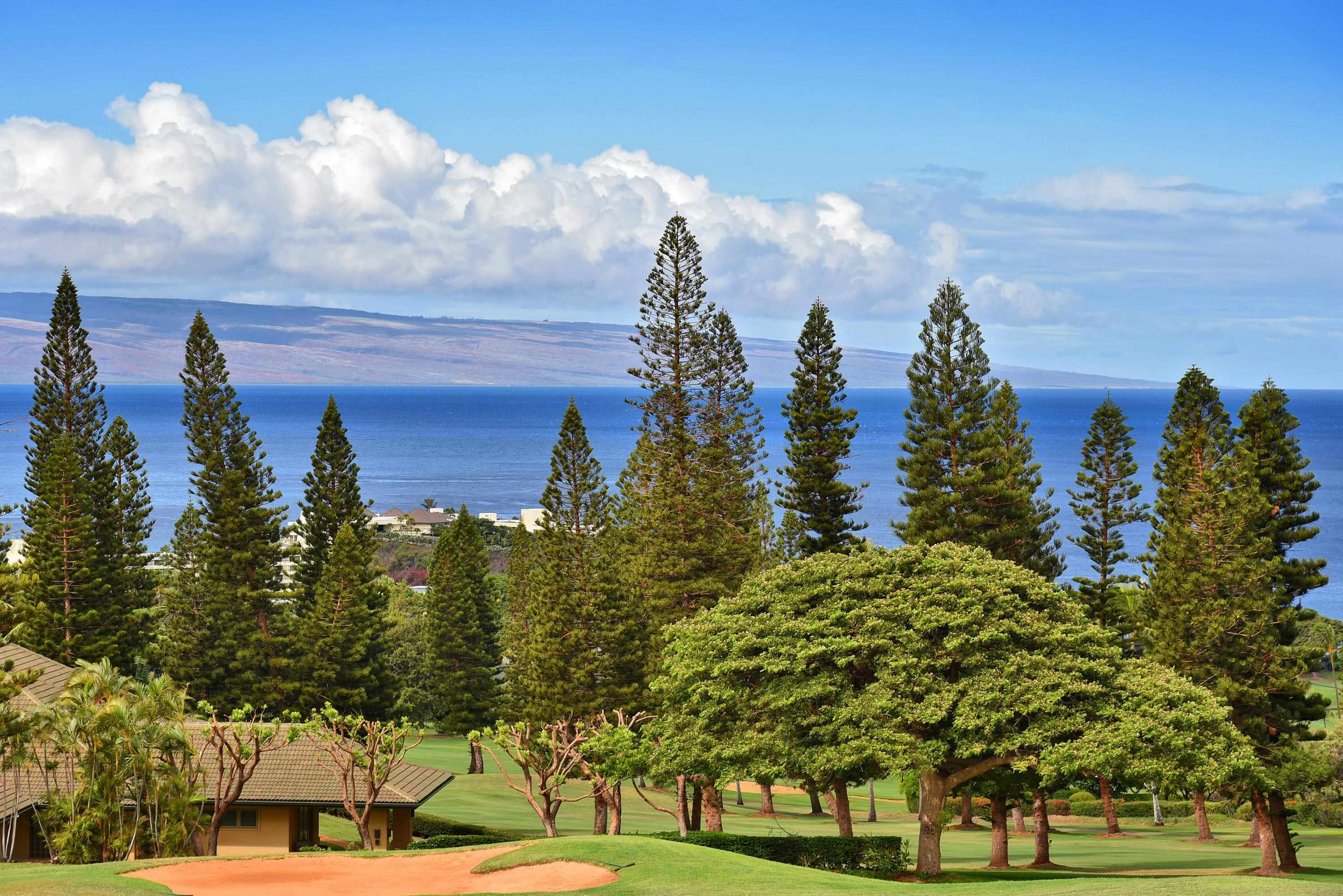 Masters condo # 2602, Lahaina, Hawaii - photo 7 of 50