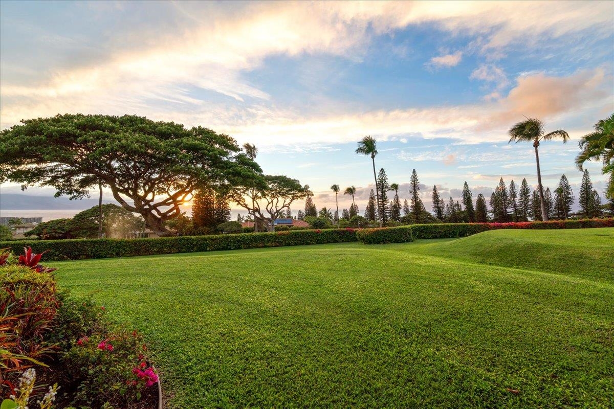 Masters condo # 2801, Lahaina, Hawaii - photo 4 of 50