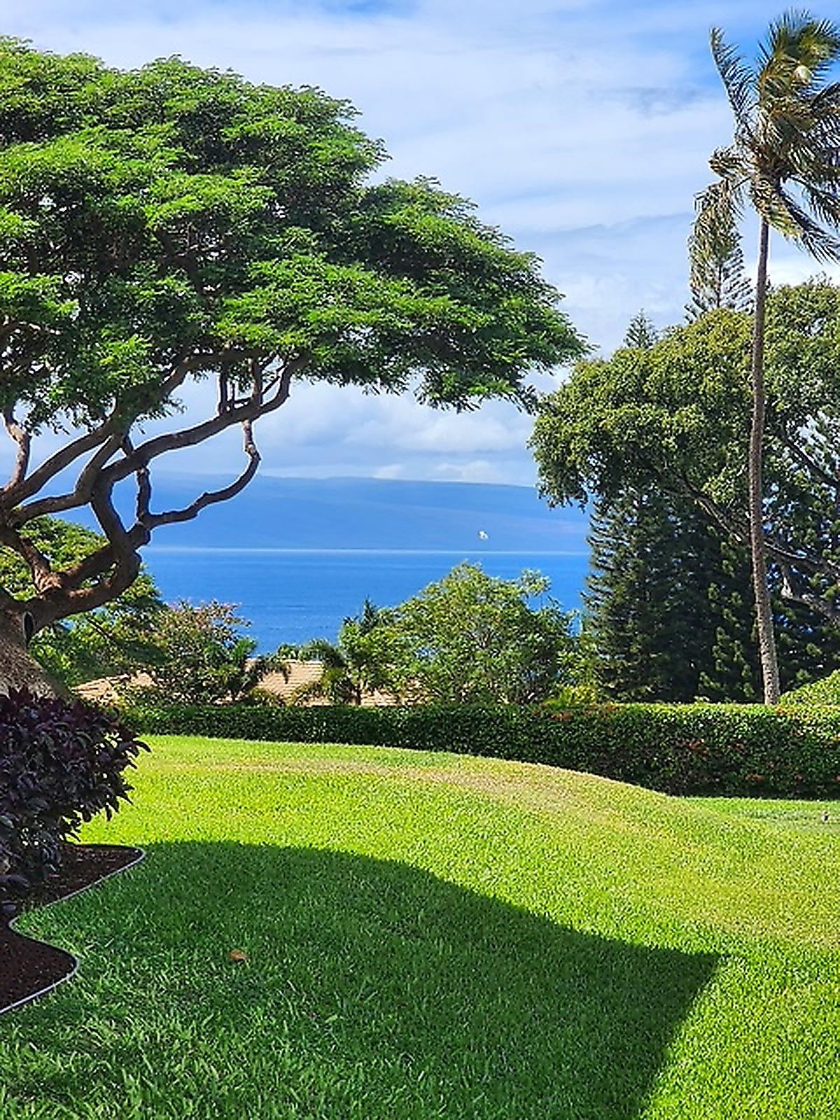 Masters condo # 2802, Lahaina, Hawaii - photo 43 of 50