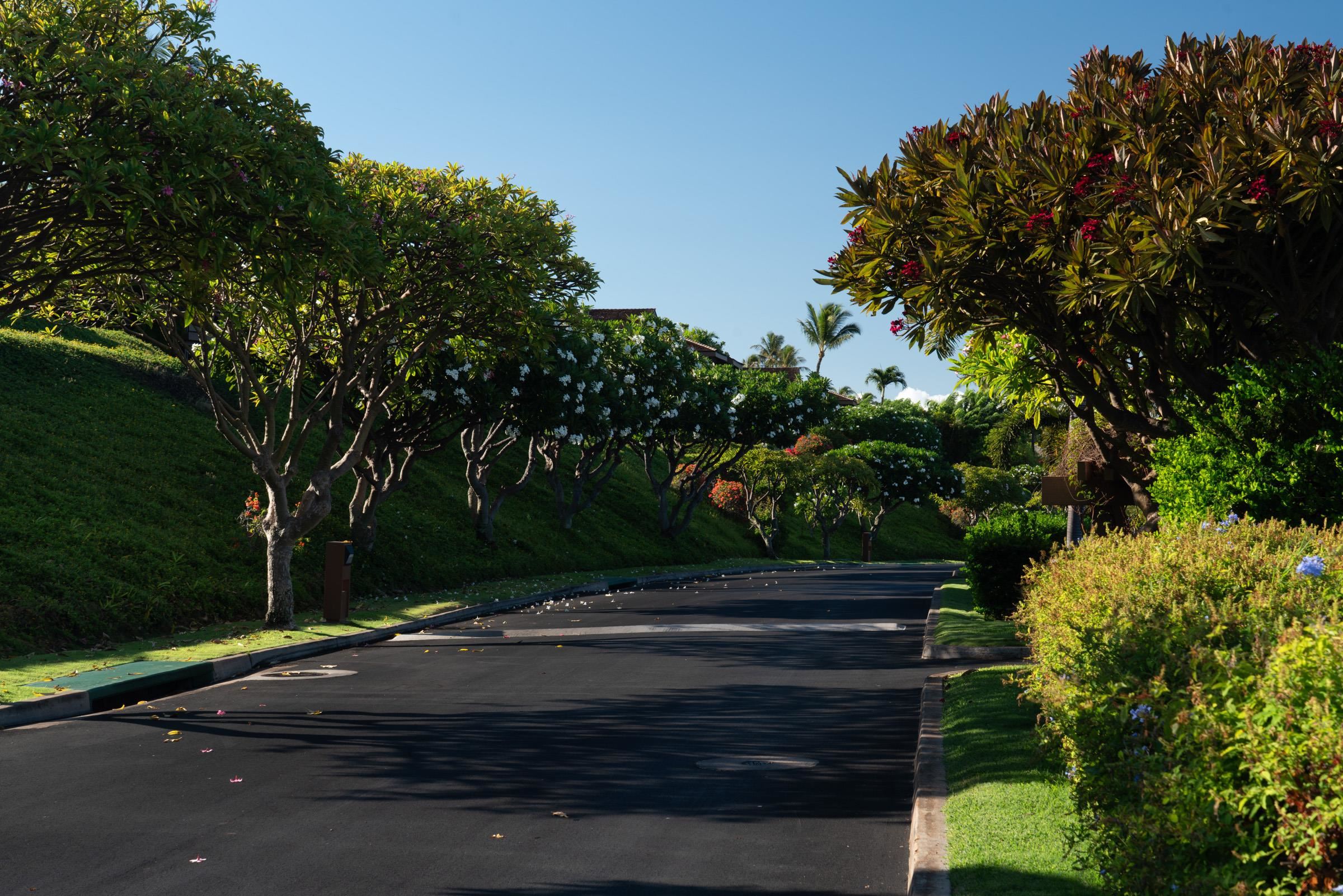 Masters condo # 2804, Lahaina, Hawaii - photo 36 of 49