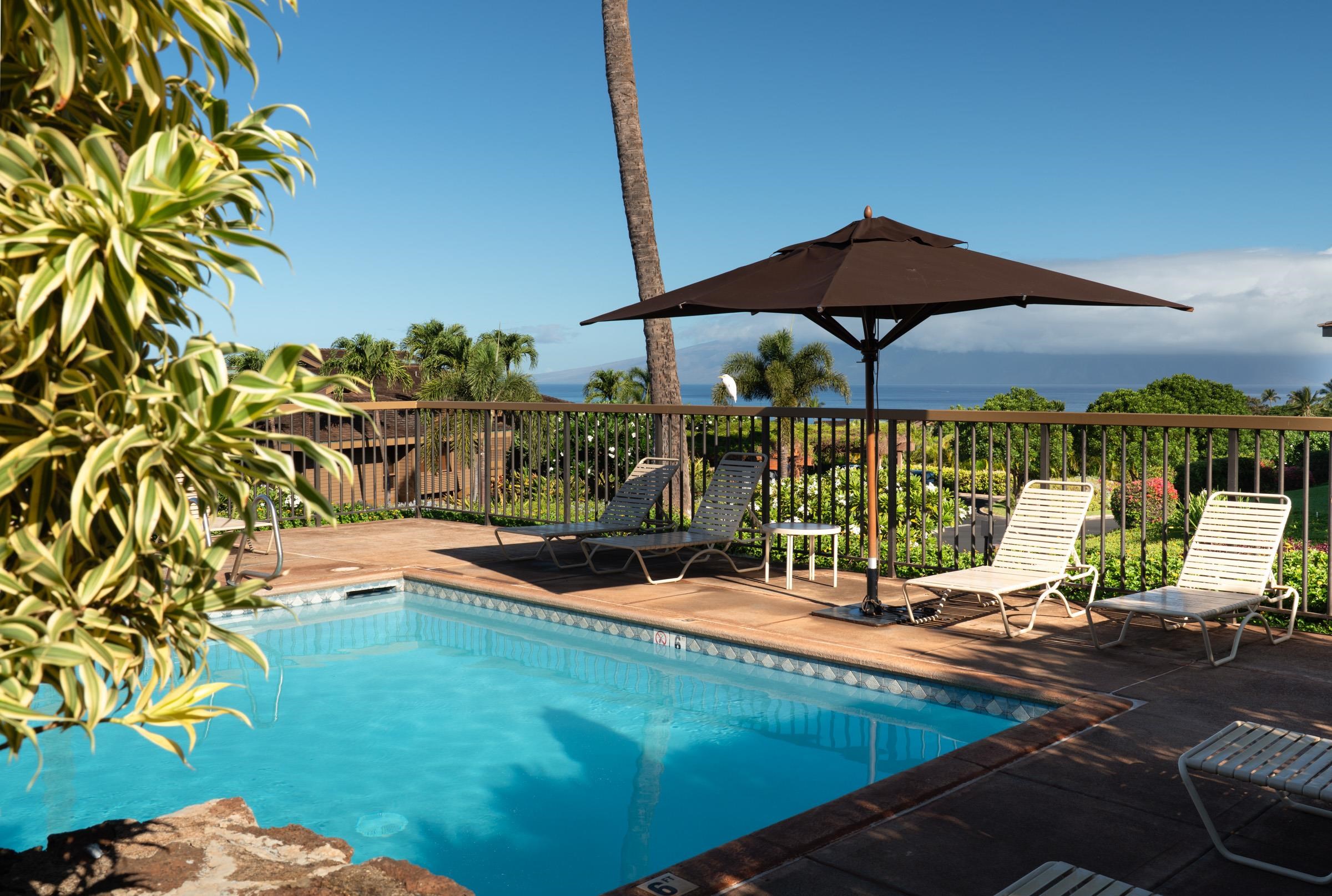 Masters condo # 2804, Lahaina, Hawaii - photo 40 of 49