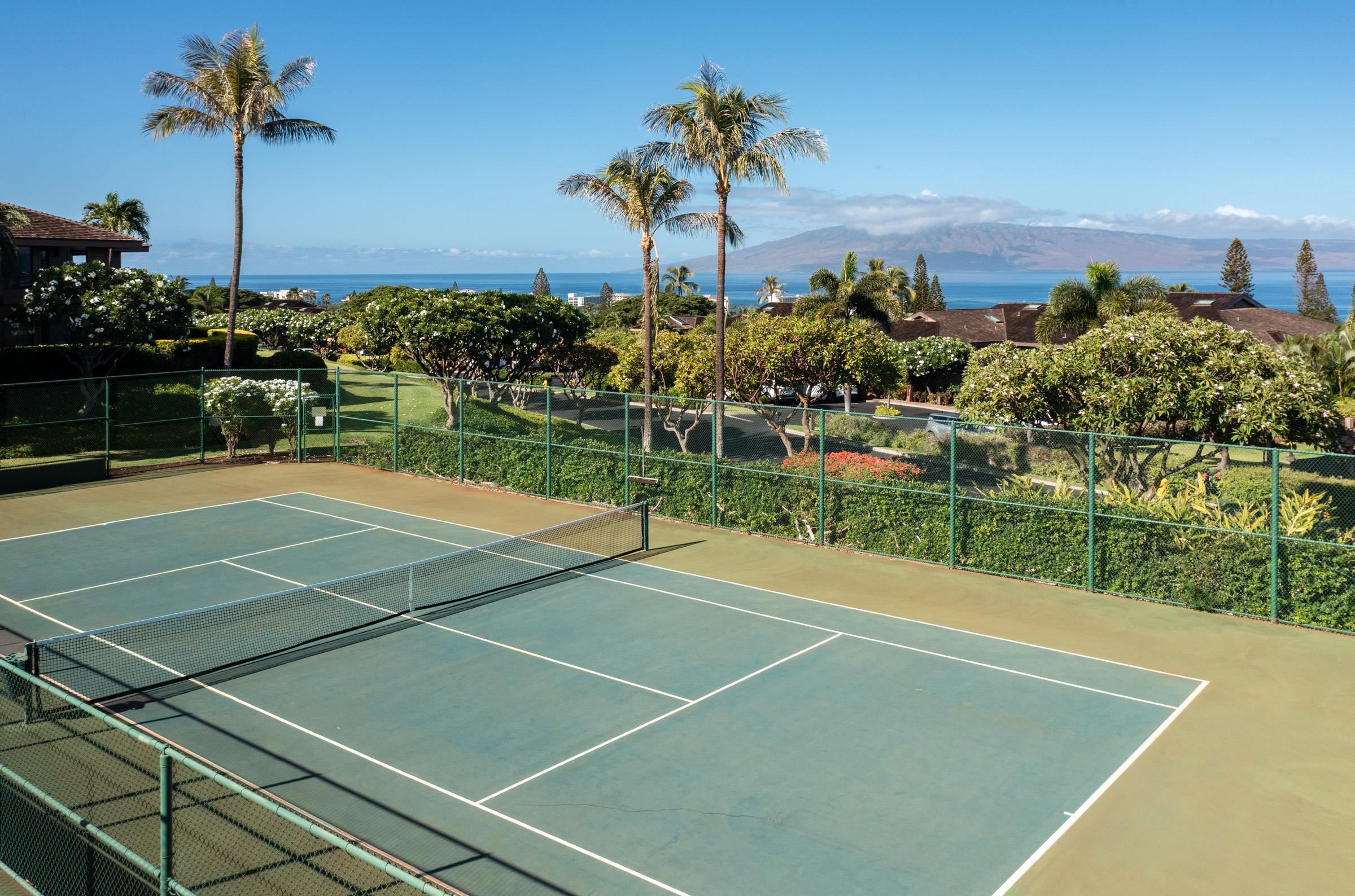 Masters condo # 2804, Lahaina, Hawaii - photo 41 of 49