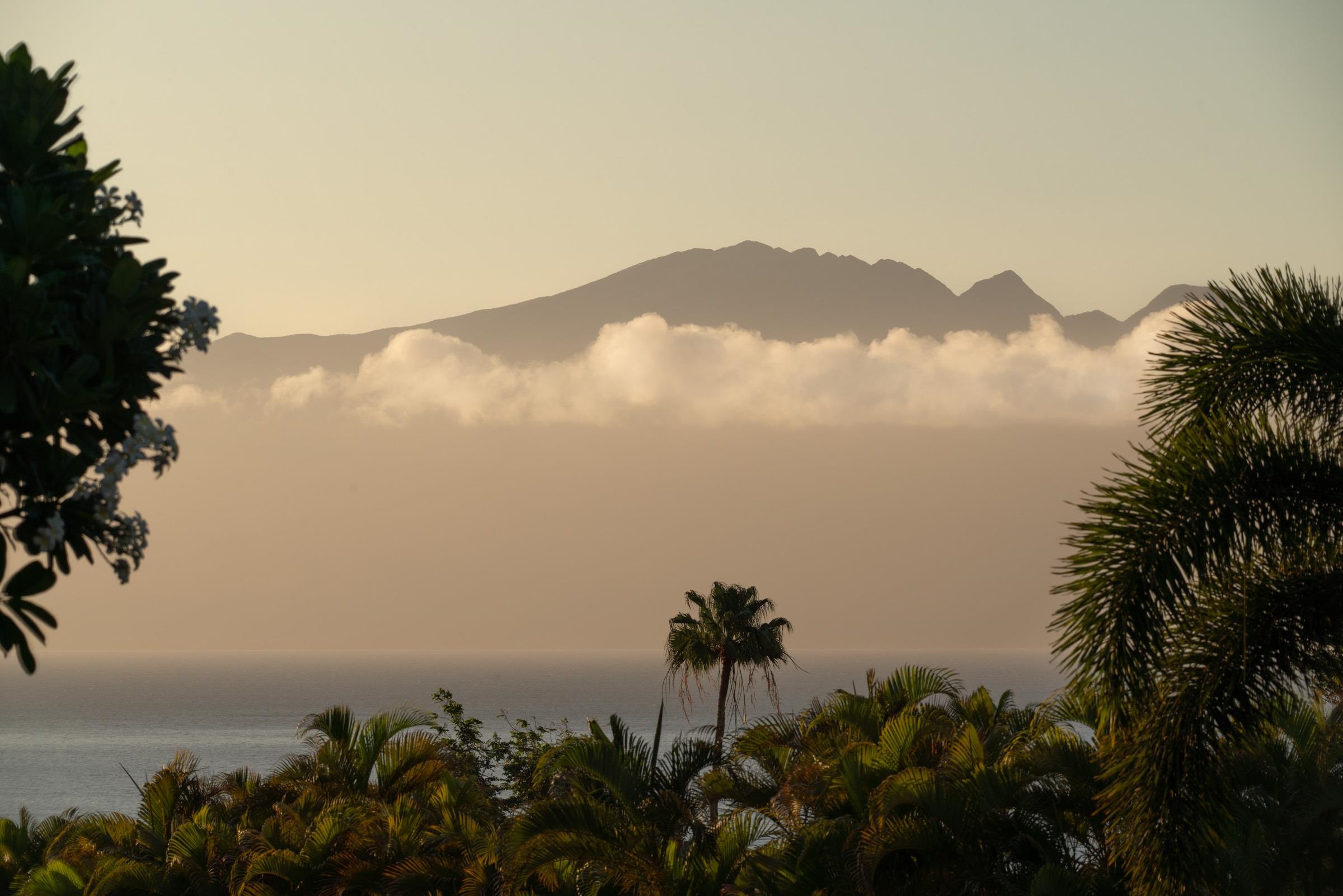 Masters condo # 2804, Lahaina, Hawaii - photo 46 of 49