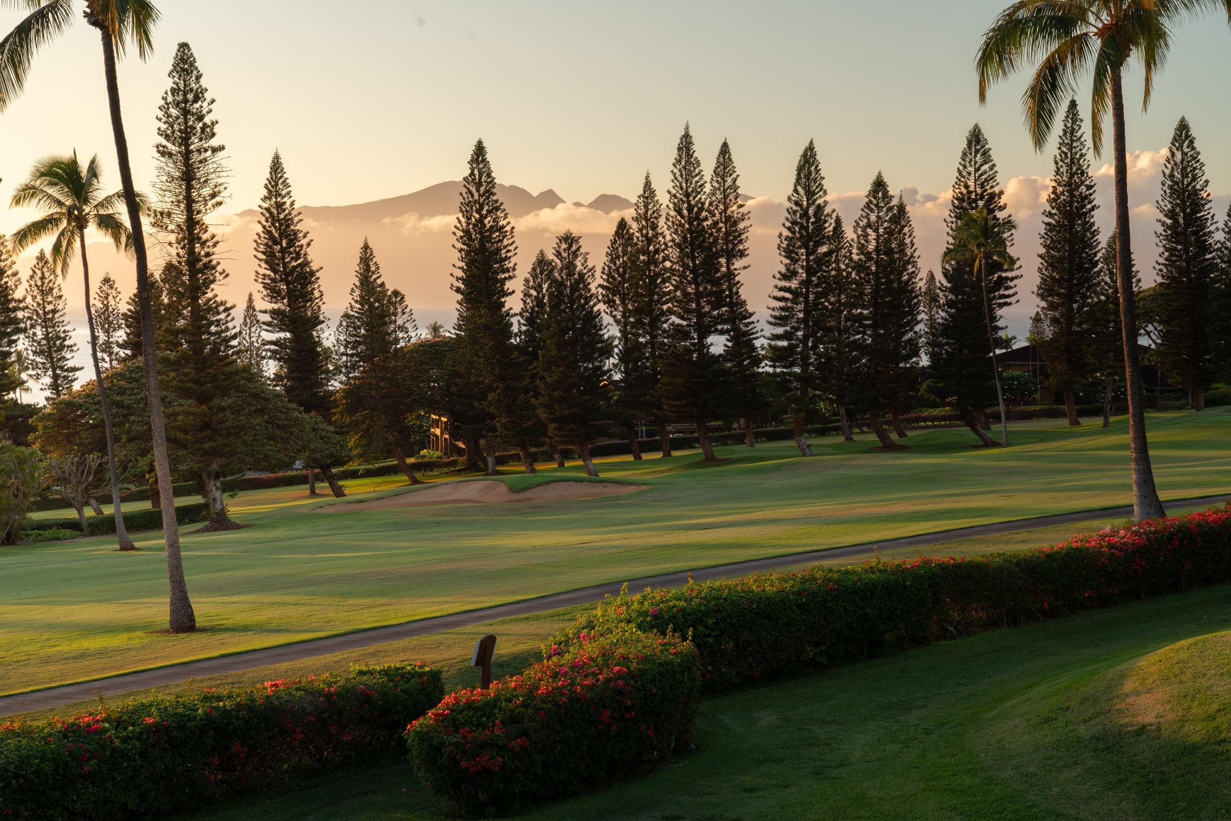 Masters condo # 2804, Lahaina, Hawaii - photo 48 of 49