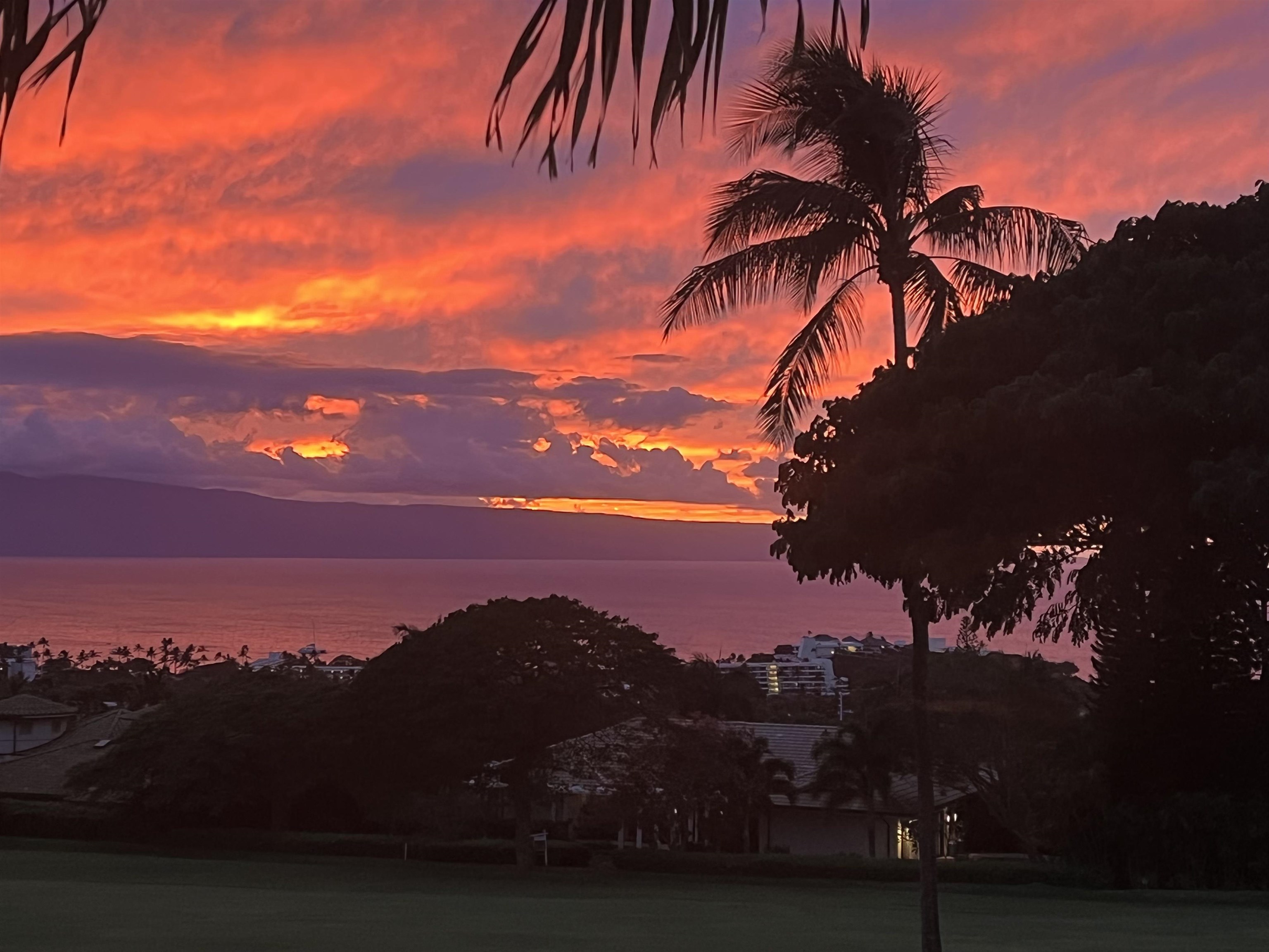 Masters condo # 2804, Lahaina, Hawaii - photo 48 of 49