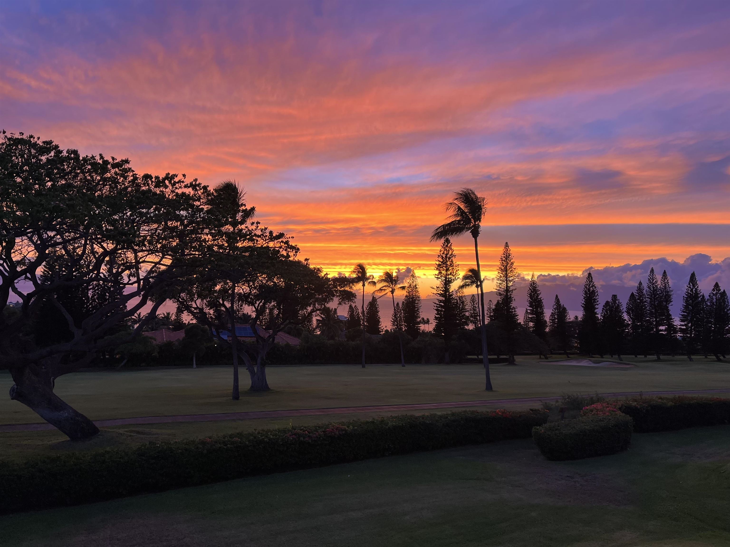 Masters condo # 2804, Lahaina, Hawaii - photo 49 of 49