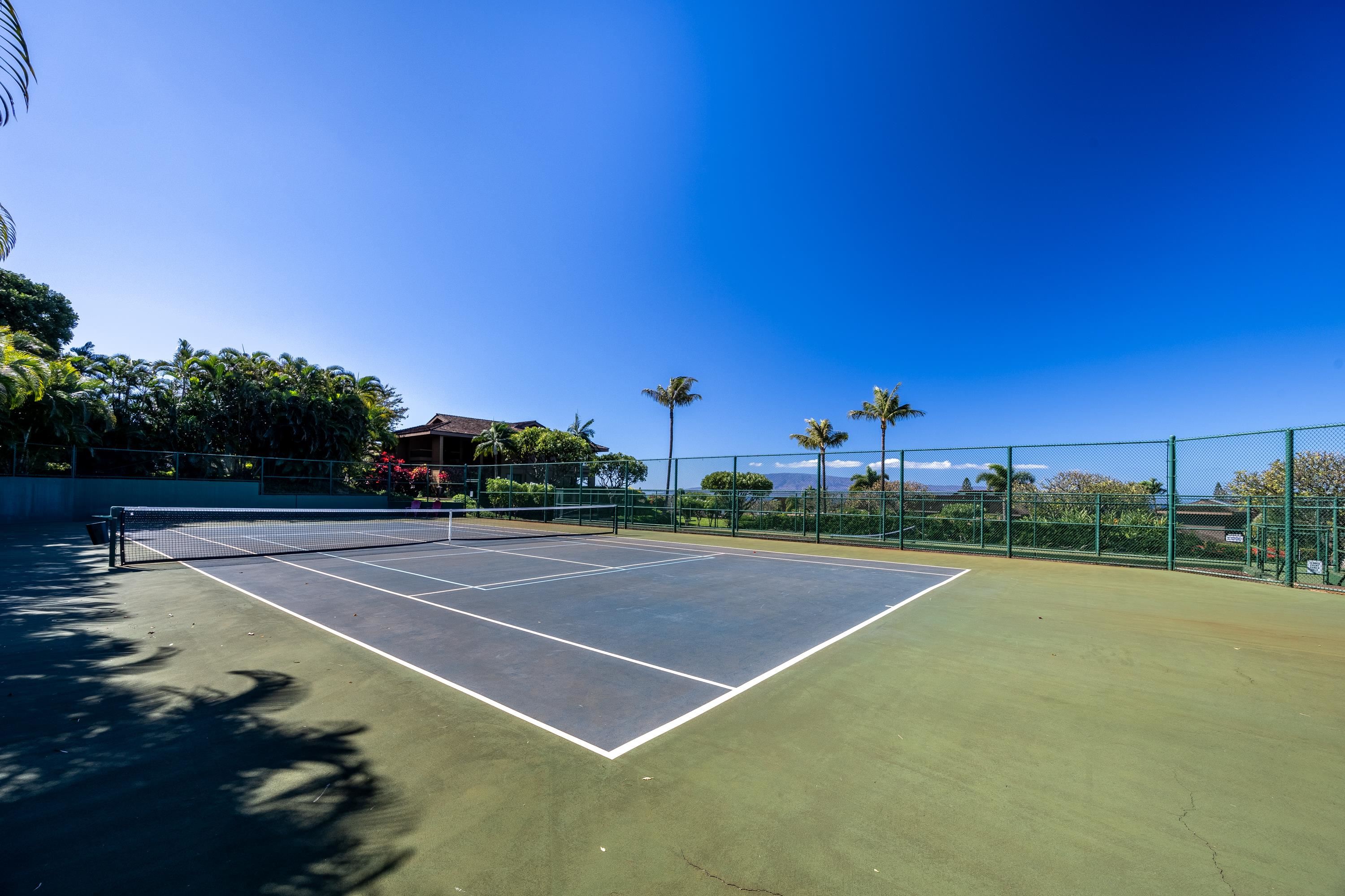 Masters condo # 2902, Lahaina, Hawaii - photo 41 of 49