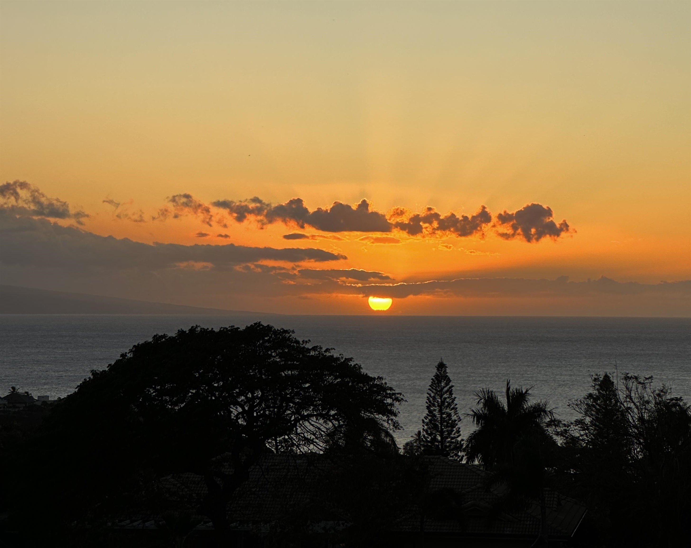 Masters condo # 2902, Lahaina, Hawaii - photo 43 of 50