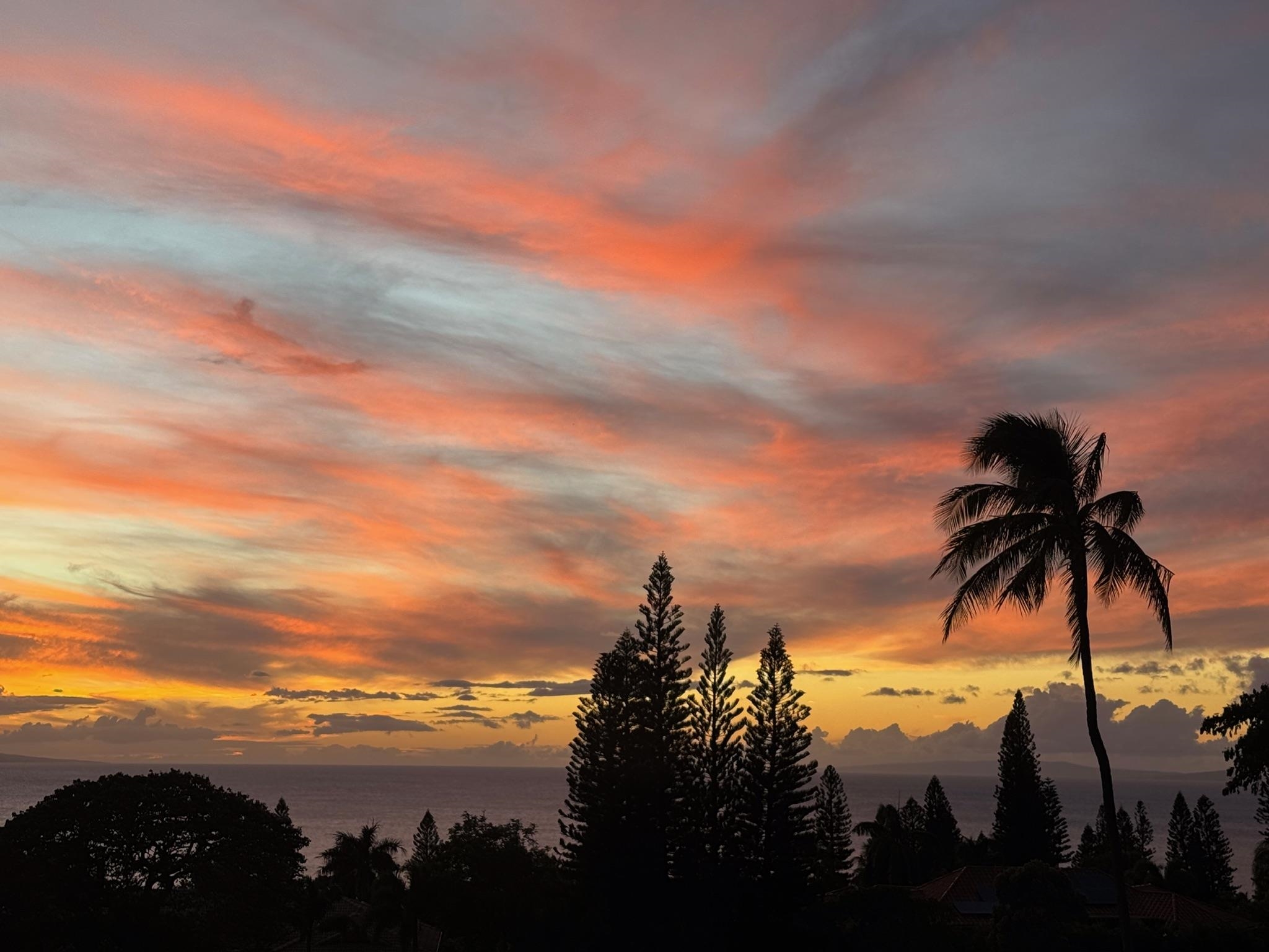 Masters condo # 2902, Lahaina, Hawaii - photo 39 of 49