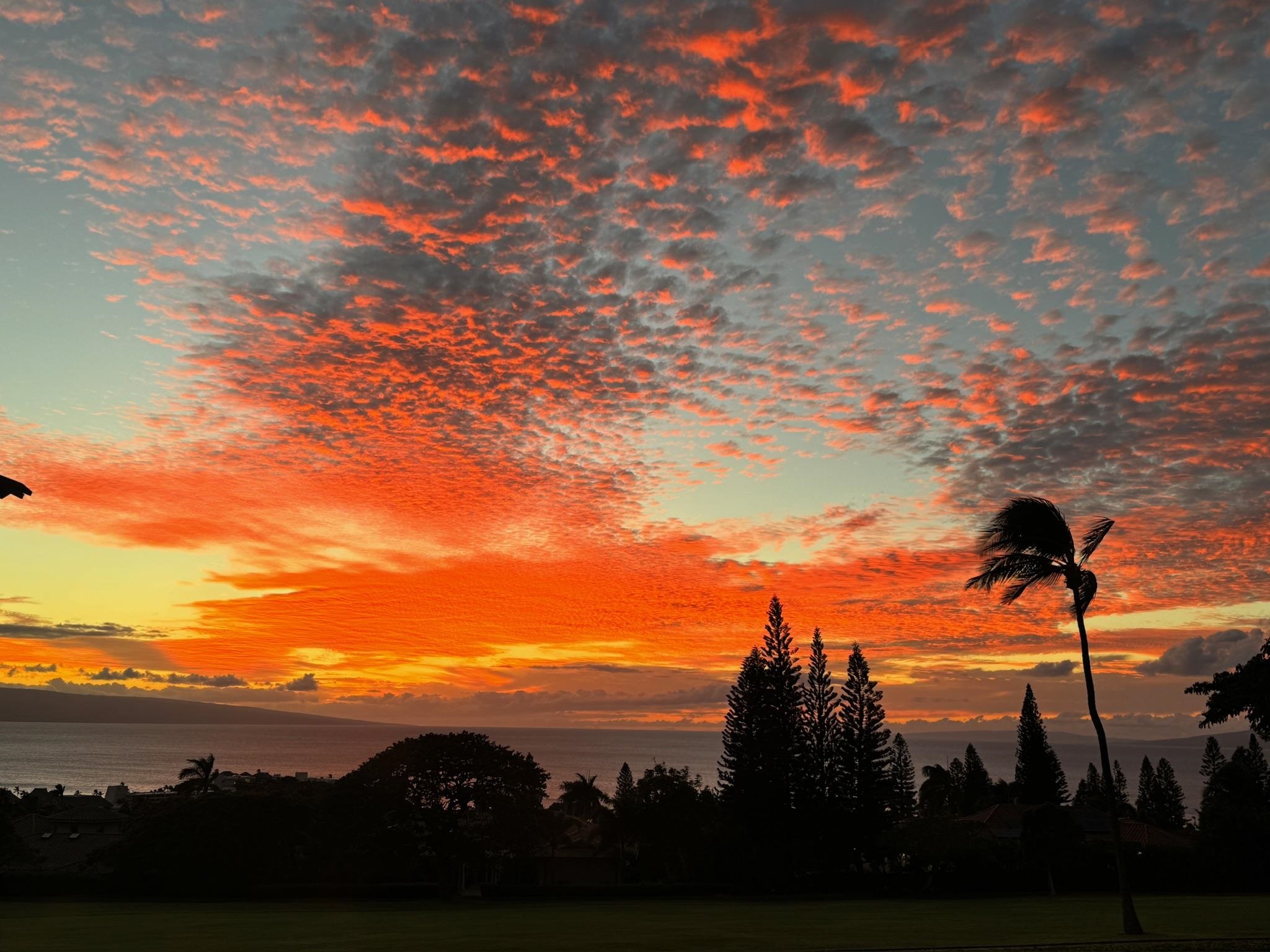 Masters condo # 2902, Lahaina, Hawaii - photo 40 of 49