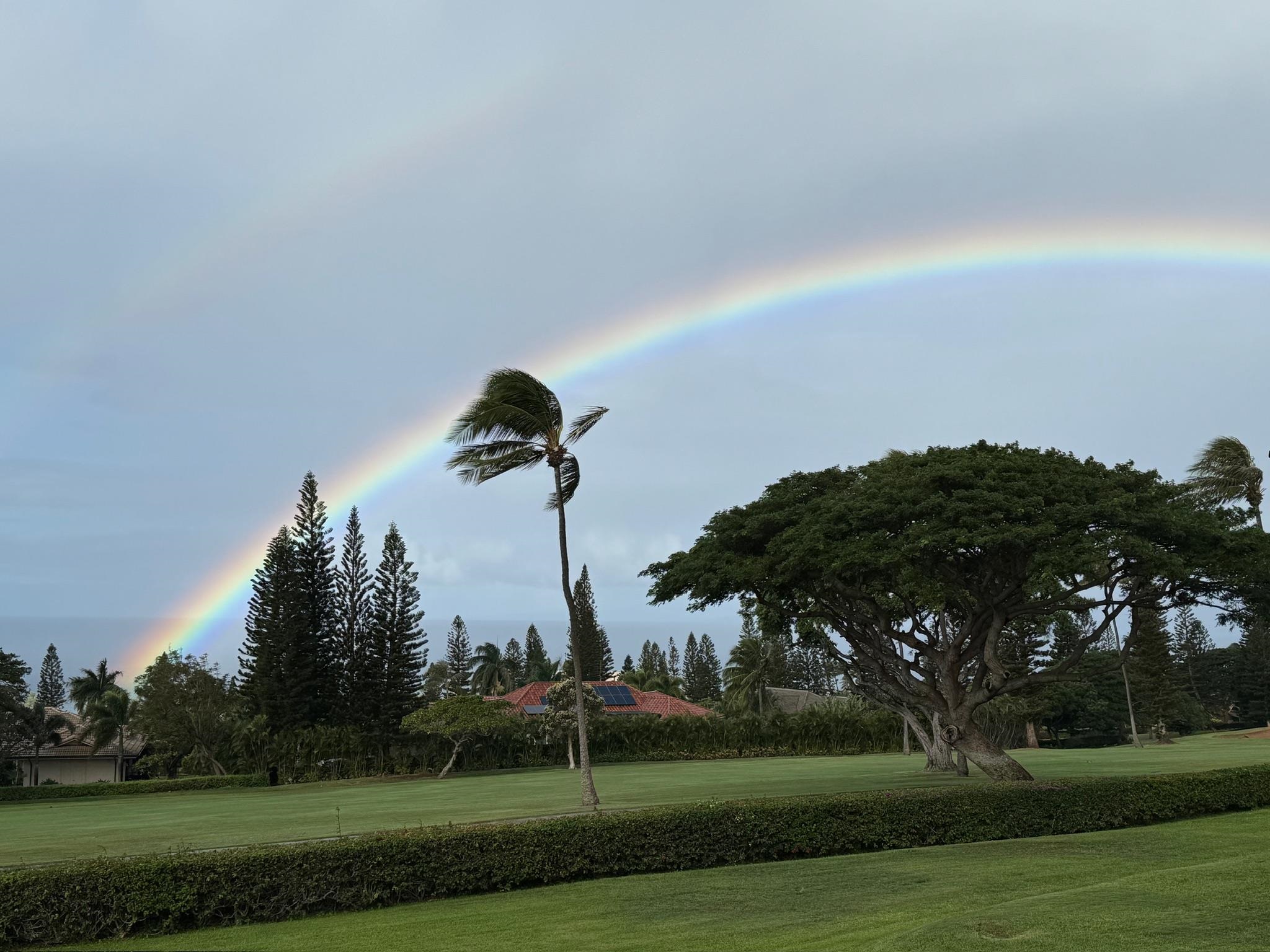 Masters condo # 2902, Lahaina, Hawaii - photo 42 of 49