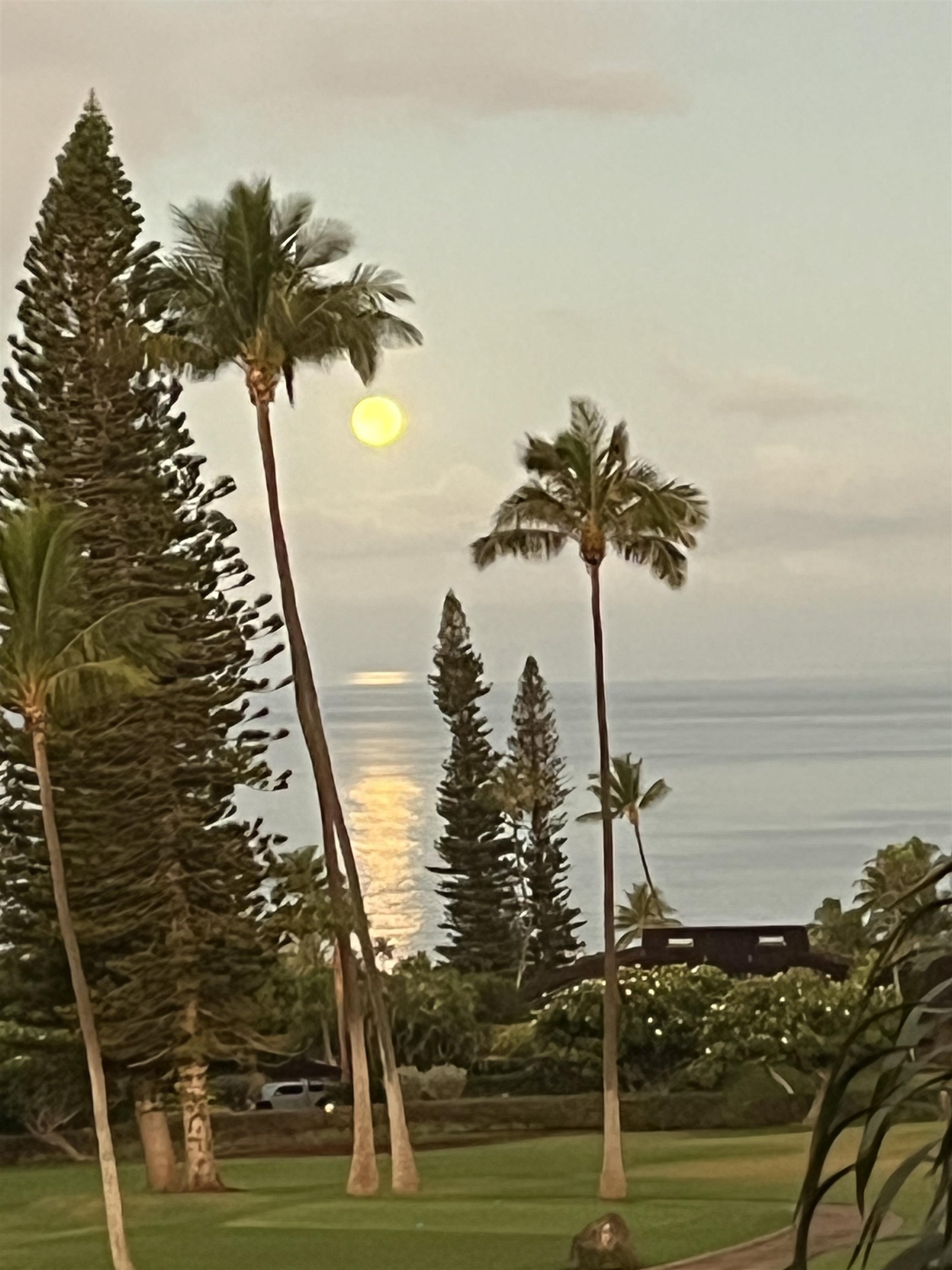 Masters condo # 2902, Lahaina, Hawaii - photo 43 of 49