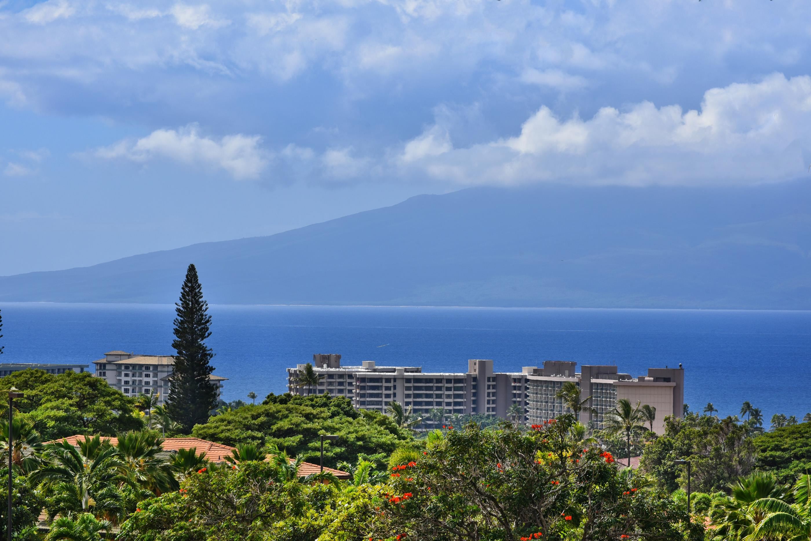 Masters condo # 3105, Lahaina, Hawaii - photo 2 of 30