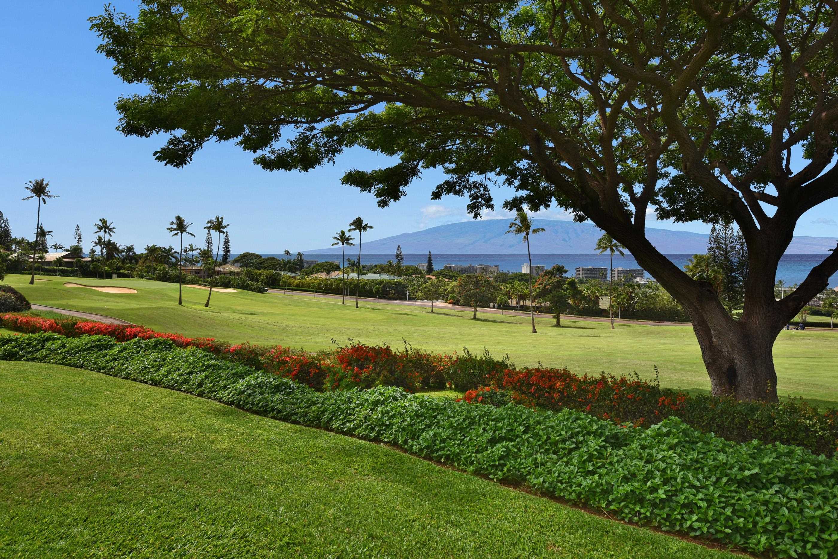 Masters condo # 3105, Lahaina, Hawaii - photo 3 of 30