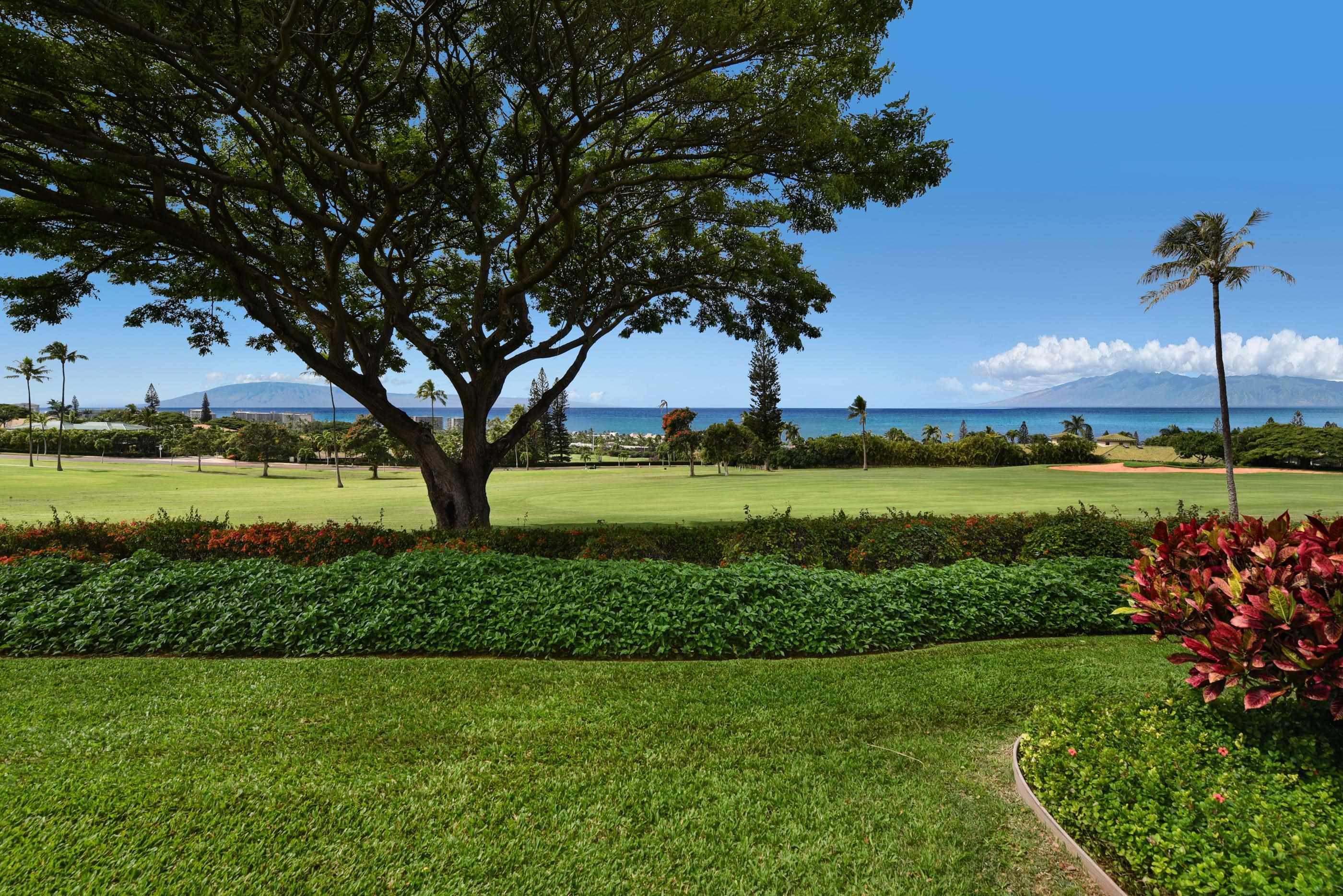 Masters condo # 3105, Lahaina, Hawaii - photo 6 of 30