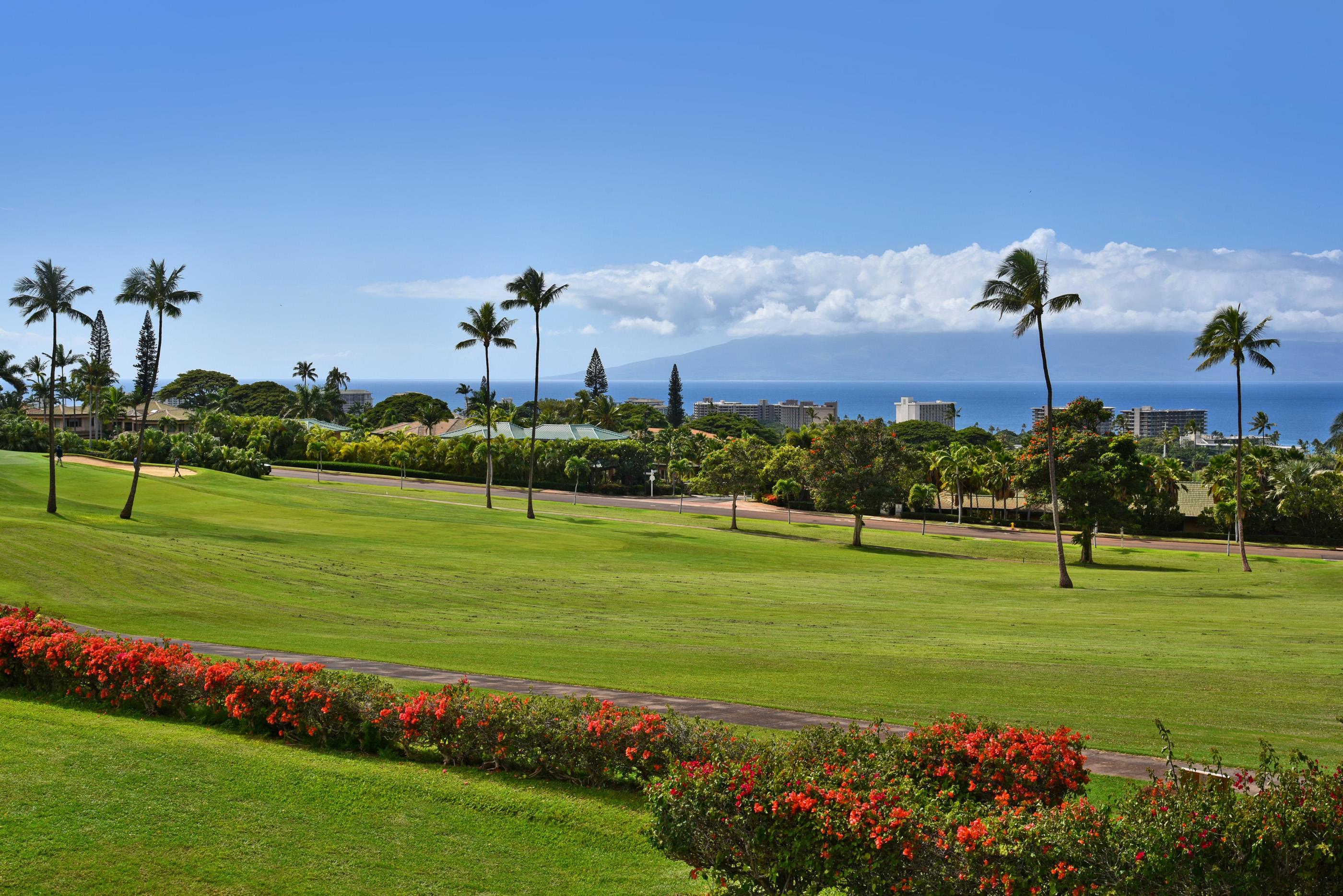 Masters condo # 3105, Lahaina, Hawaii - photo 7 of 30