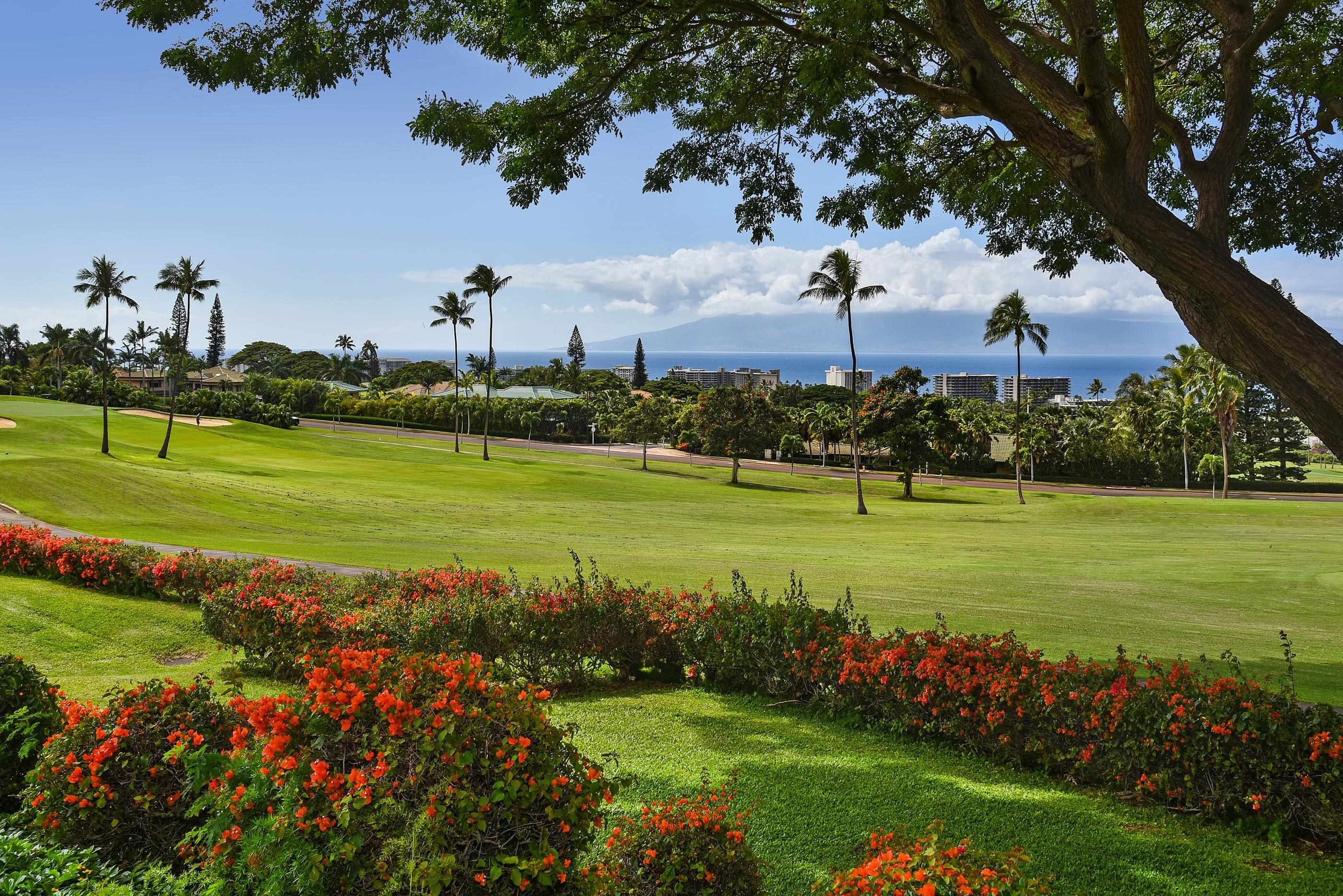 Masters condo # 3105, Lahaina, Hawaii - photo 9 of 30