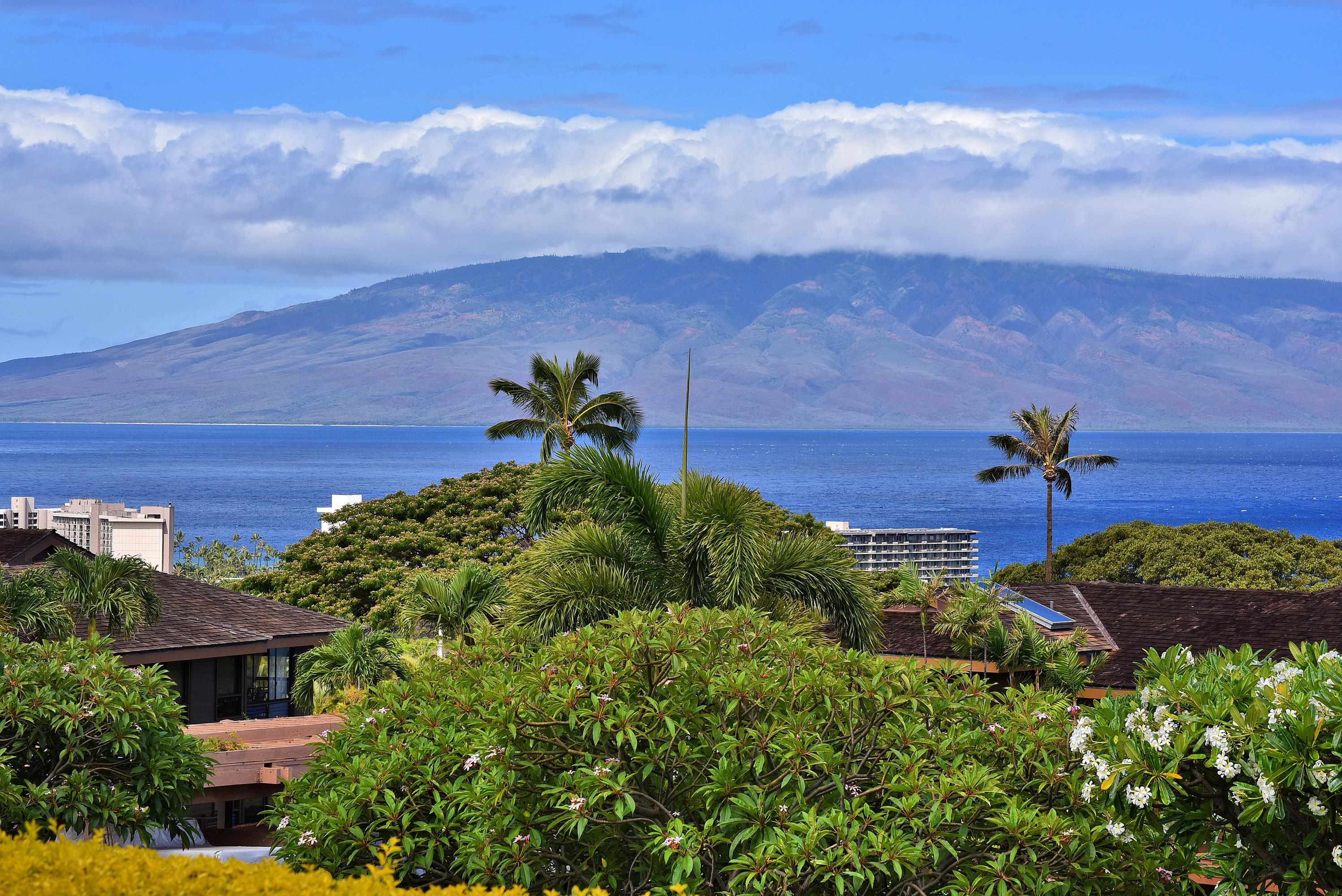 Masters condo # 3901, Lahaina, Hawaii - photo 3 of 44