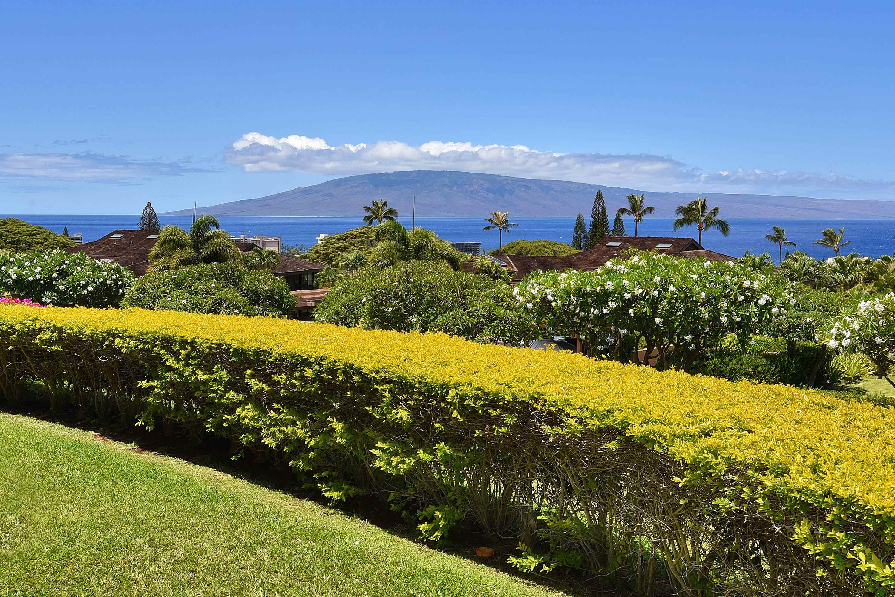 Masters condo # 3901, Lahaina, Hawaii - photo 38 of 44