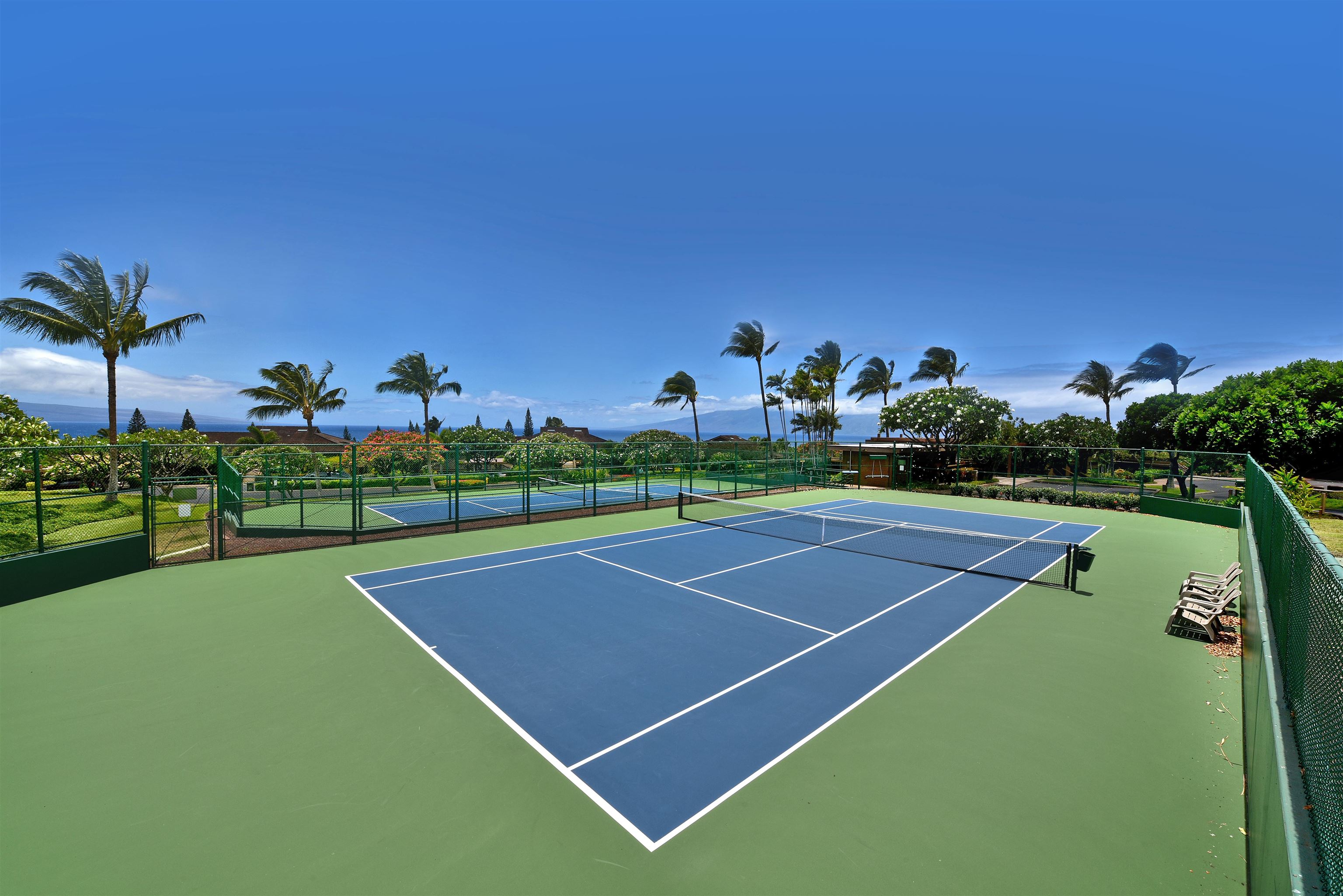 Masters condo # 3901, Lahaina, Hawaii - photo 40 of 50