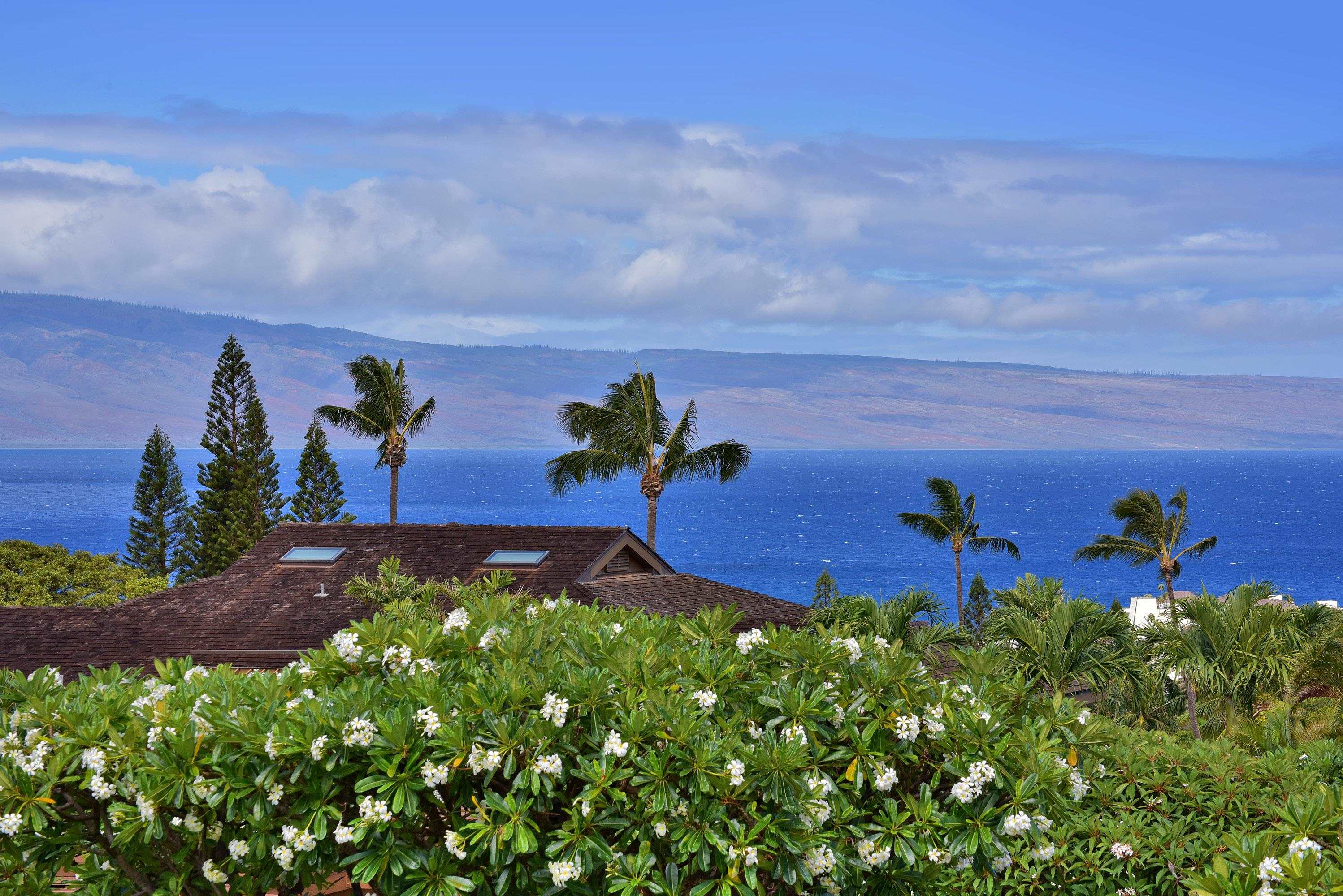 Masters condo # 3901, Lahaina, Hawaii - photo 42 of 44