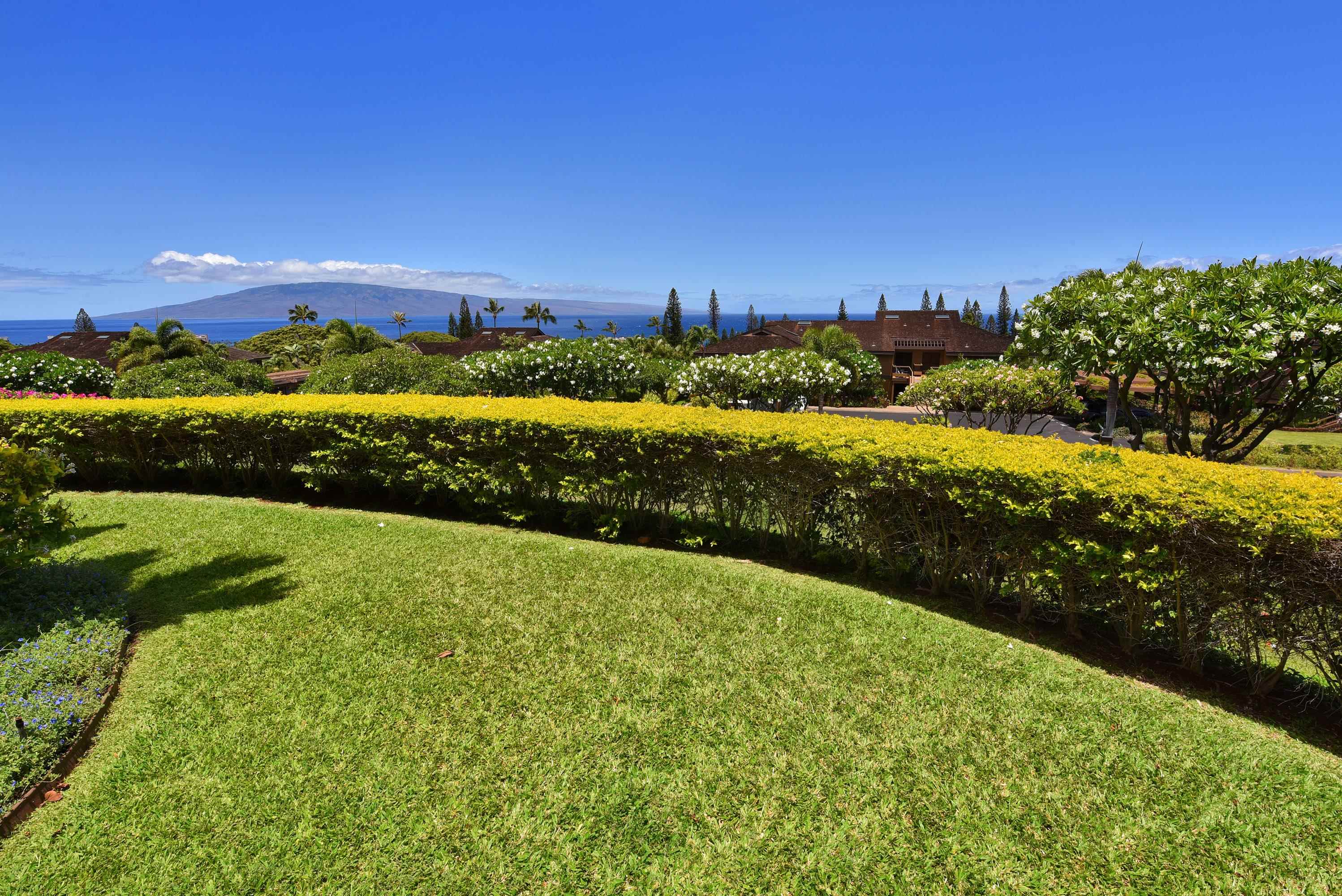 Masters condo # 3901, Lahaina, Hawaii - photo 43 of 44