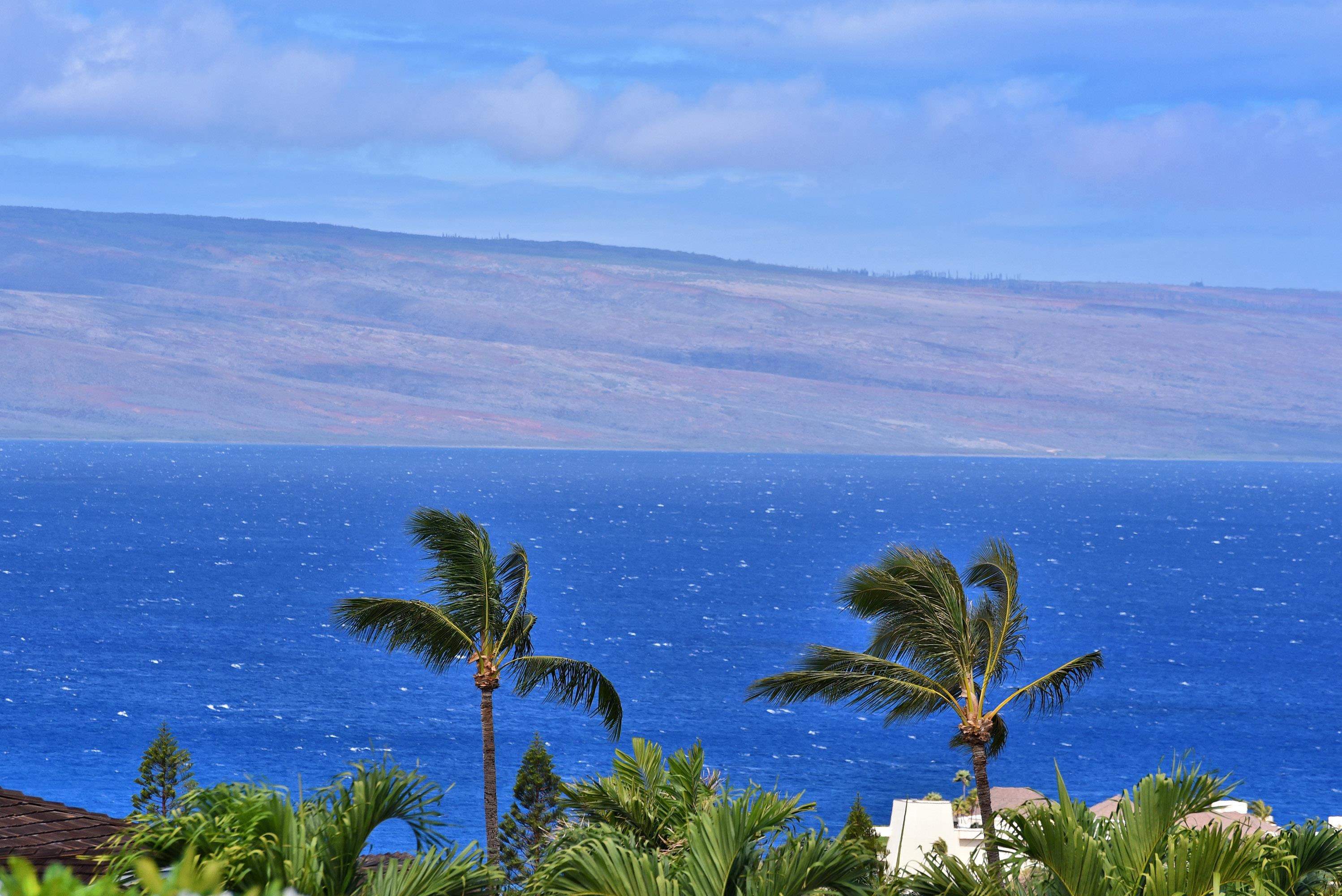 Masters condo # 3901, Lahaina, Hawaii - photo 44 of 44