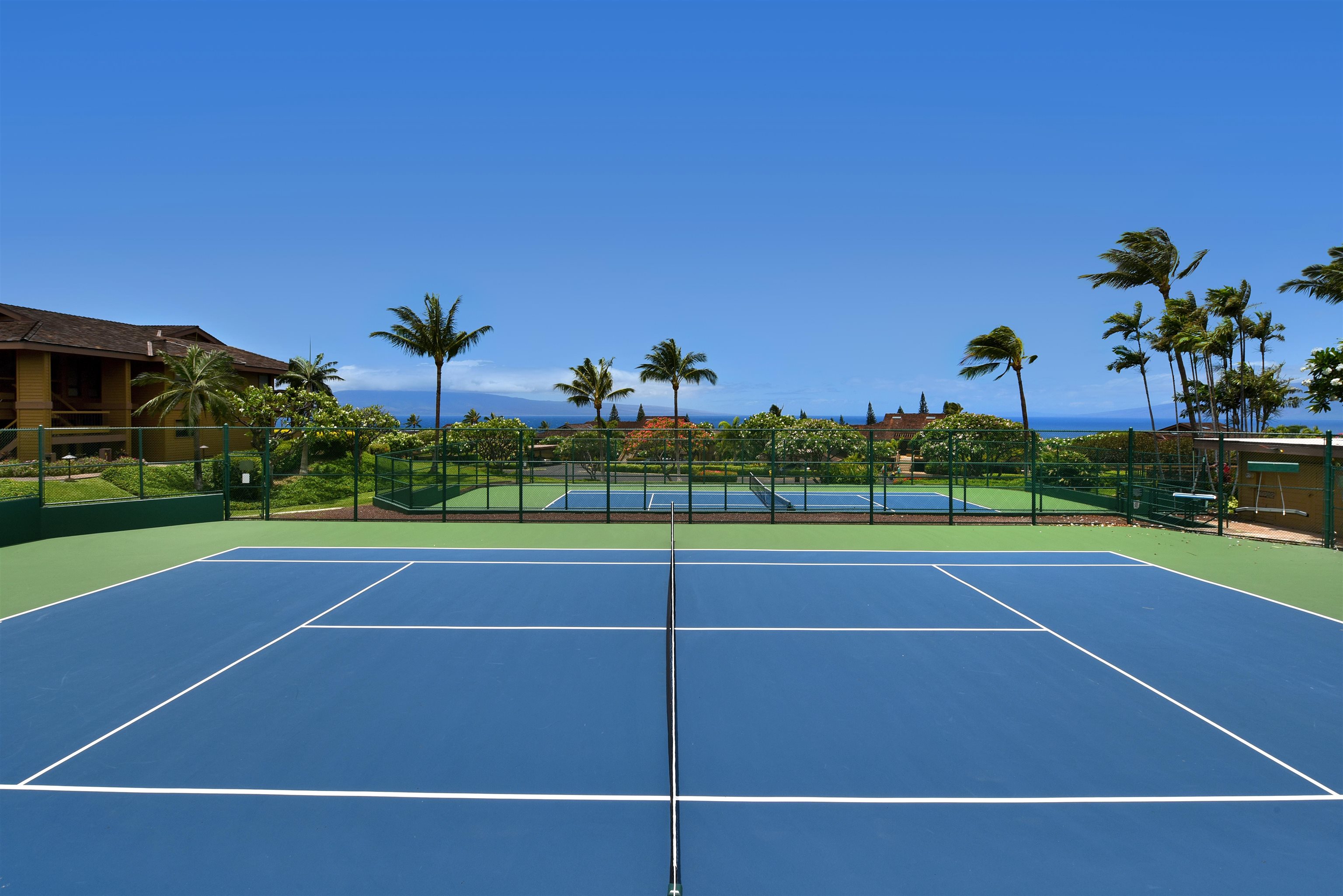 Masters condo # 3901, Lahaina, Hawaii - photo 49 of 50