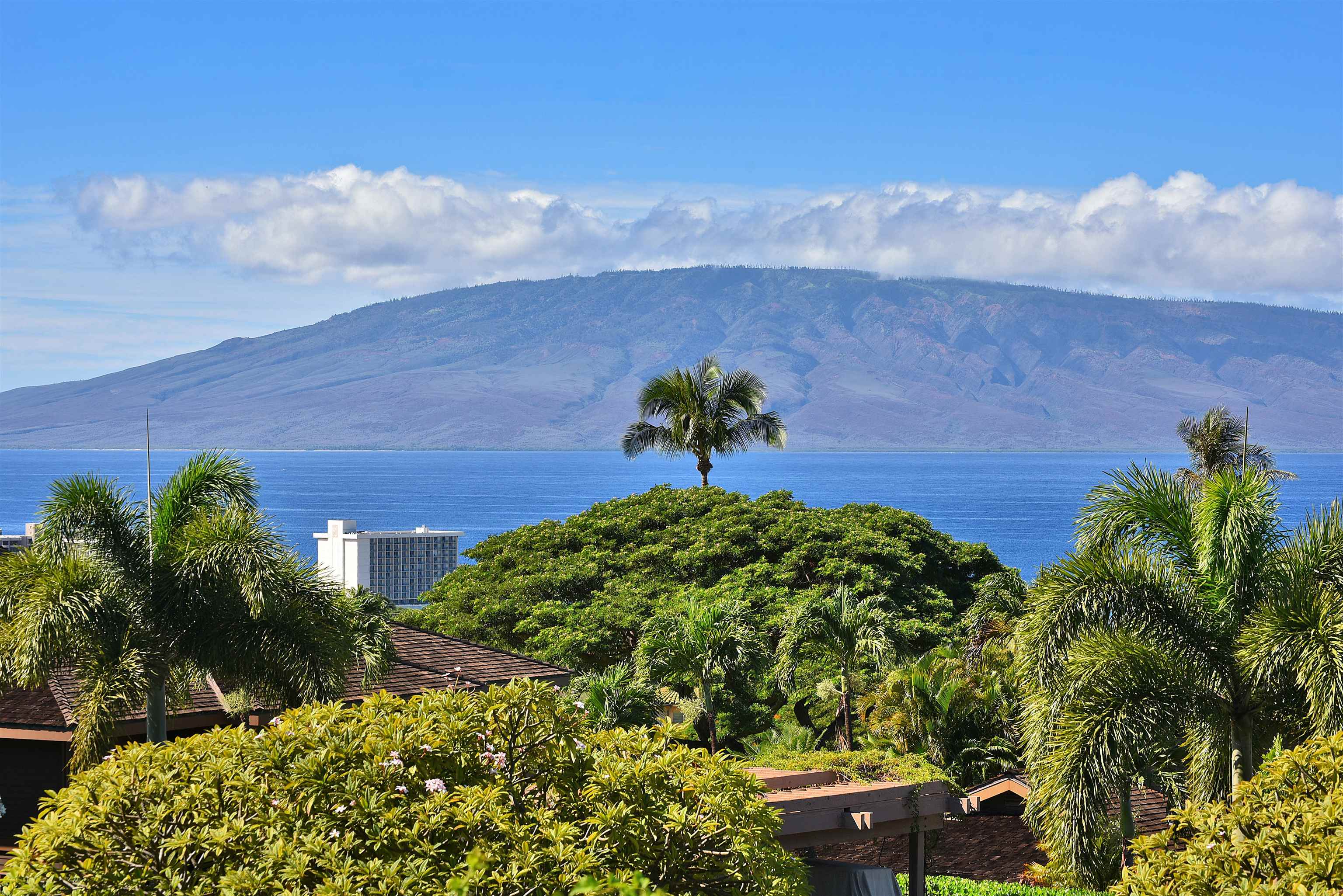 Masters condo # 3903, Lahaina, Hawaii - photo 21 of 39
