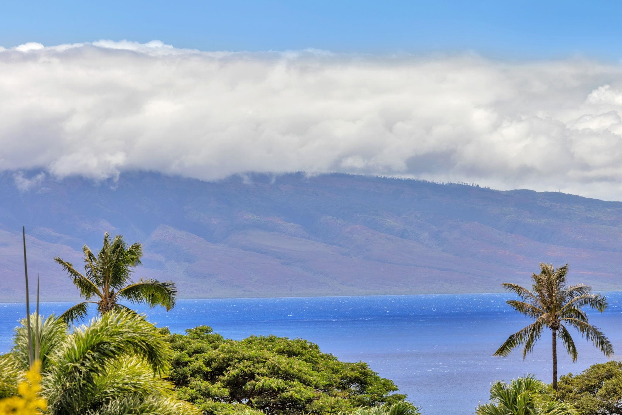 Masters condo # 3905, Lahaina, Hawaii - photo 11 of 37