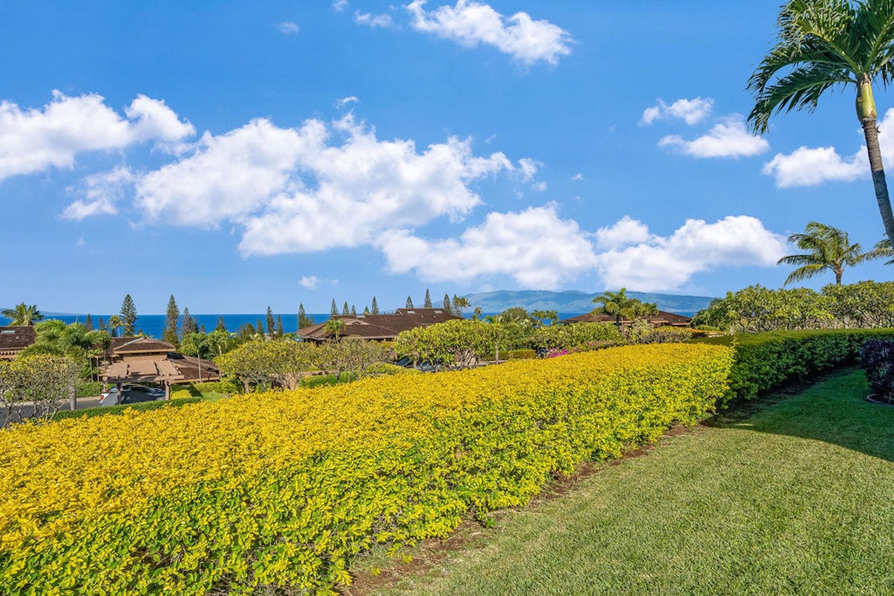 Masters condo # 3907, Lahaina, Hawaii - photo 21 of 26