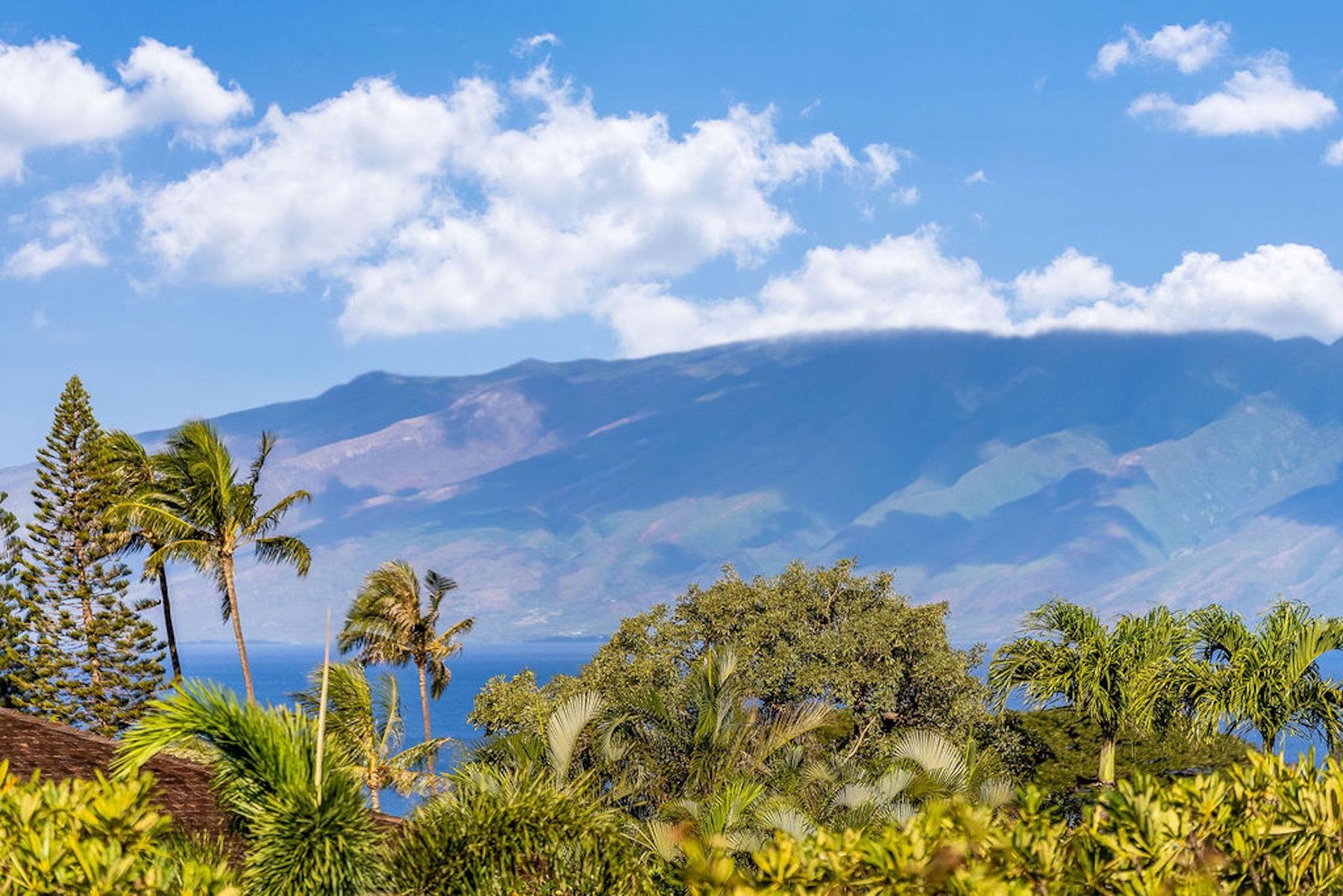 Masters condo # 3907, Lahaina, Hawaii - photo 24 of 26