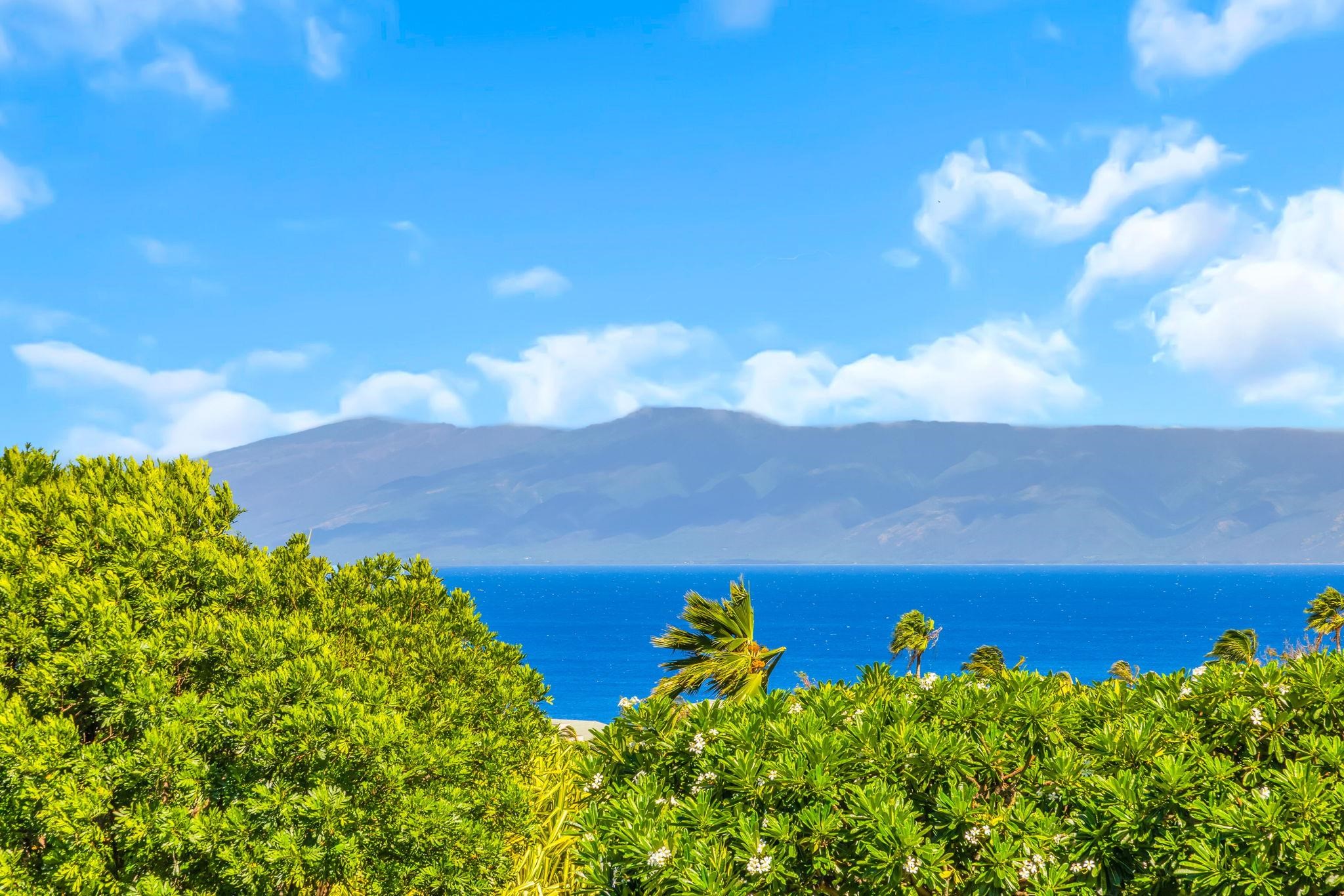 Masters condo # 4203, Lahaina, Hawaii - photo 12 of 48