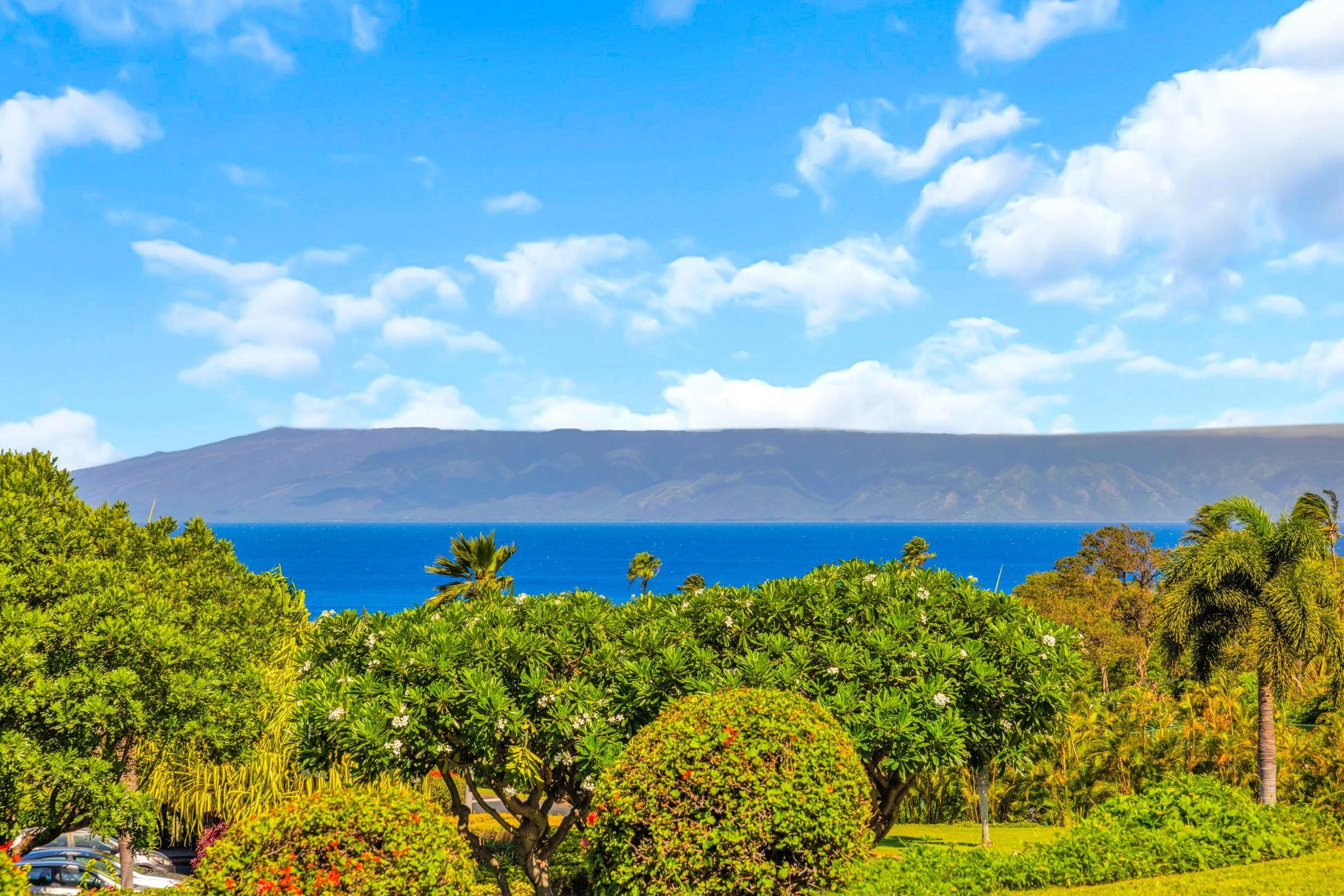 Masters condo # 4203, Lahaina, Hawaii - photo 3 of 48