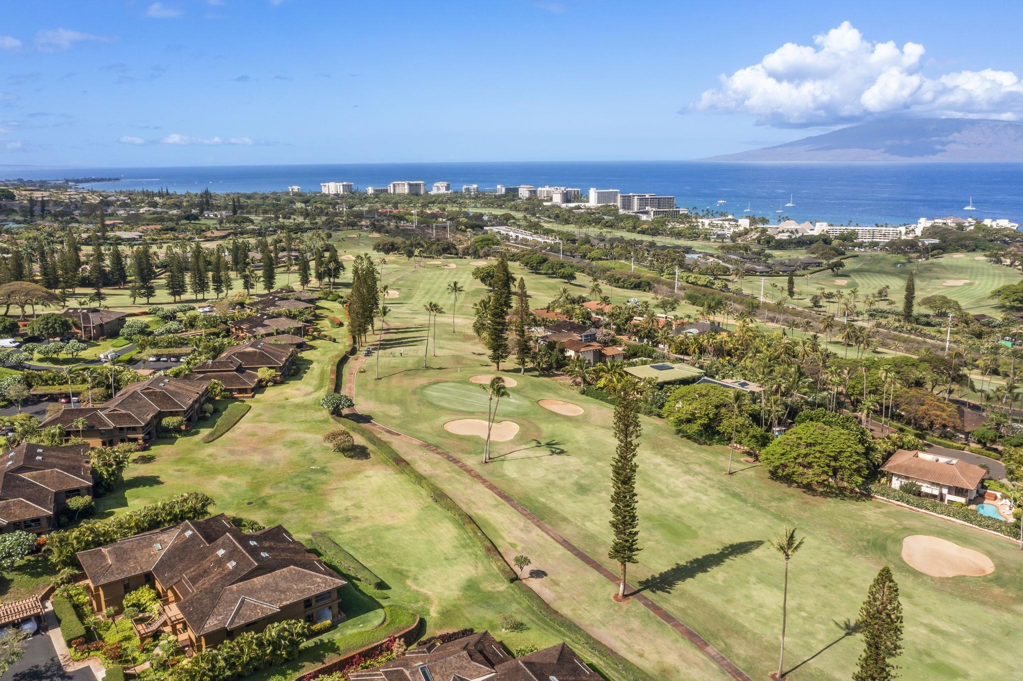 Masters condo # 503, Lahaina, Hawaii - photo 42 of 50
