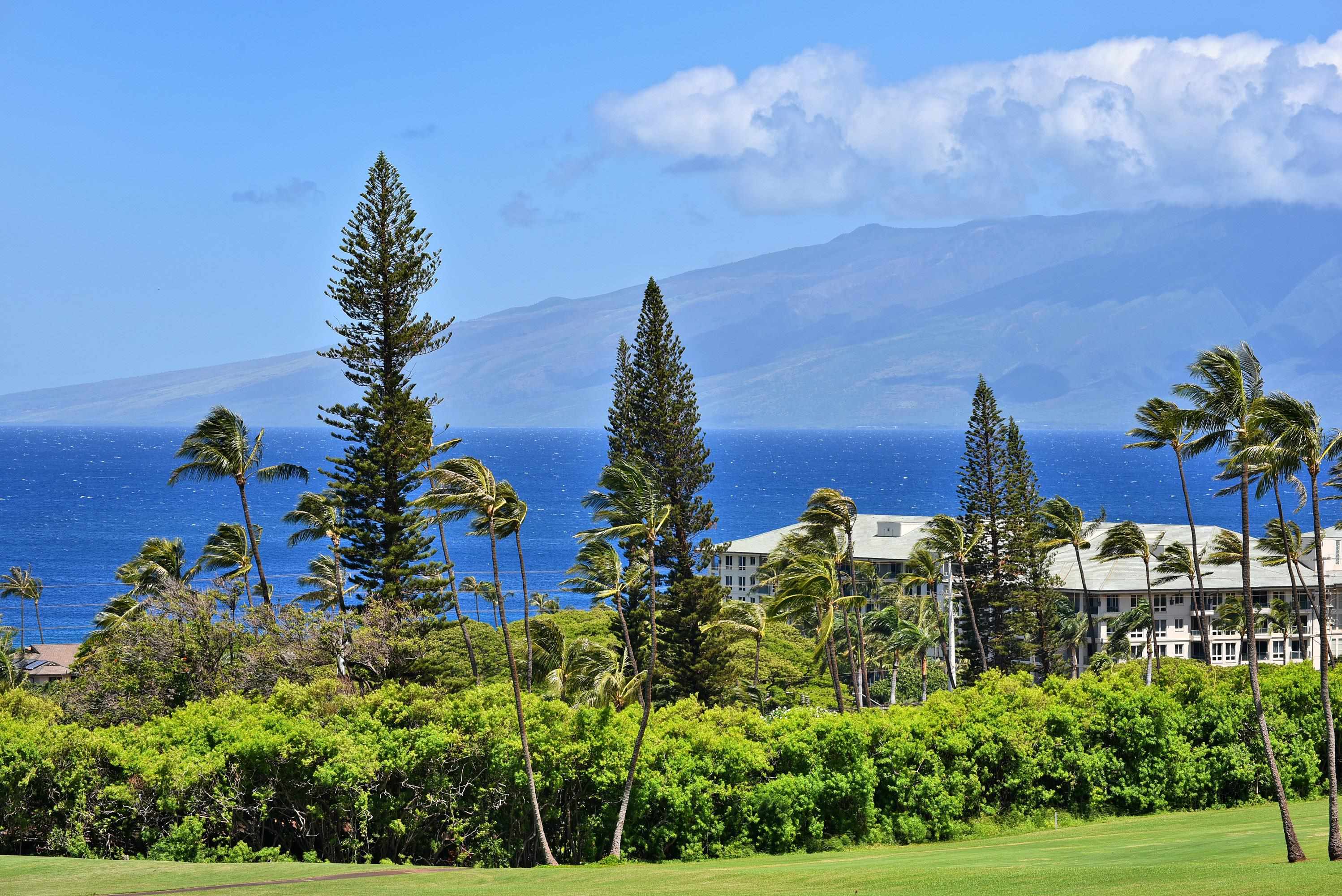 Masters condo # 603, Lahaina, Hawaii - photo 6 of 50