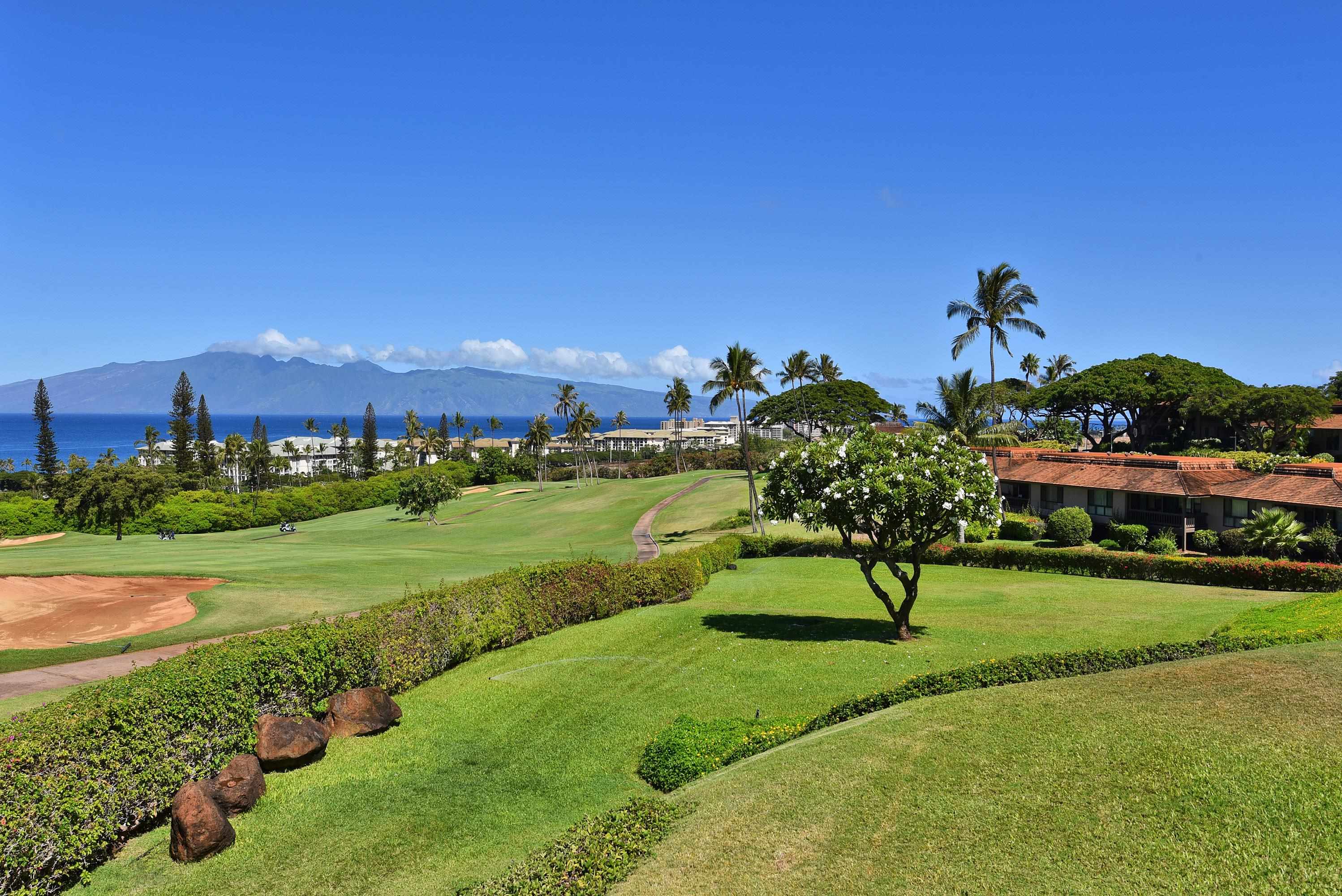 Masters condo # 703, Lahaina, Hawaii - photo 43 of 48