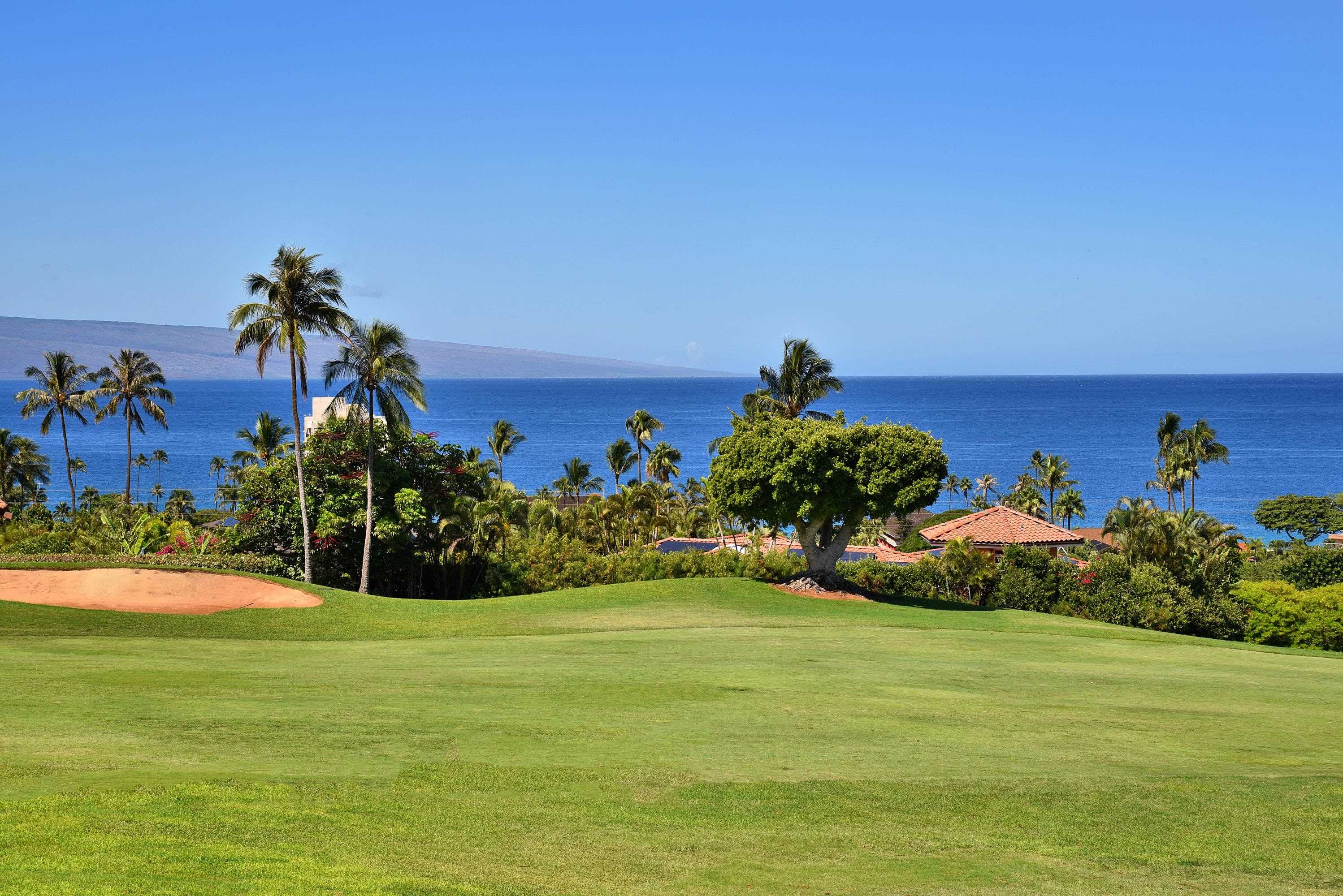 Masters condo # 703, Lahaina, Hawaii - photo 44 of 48