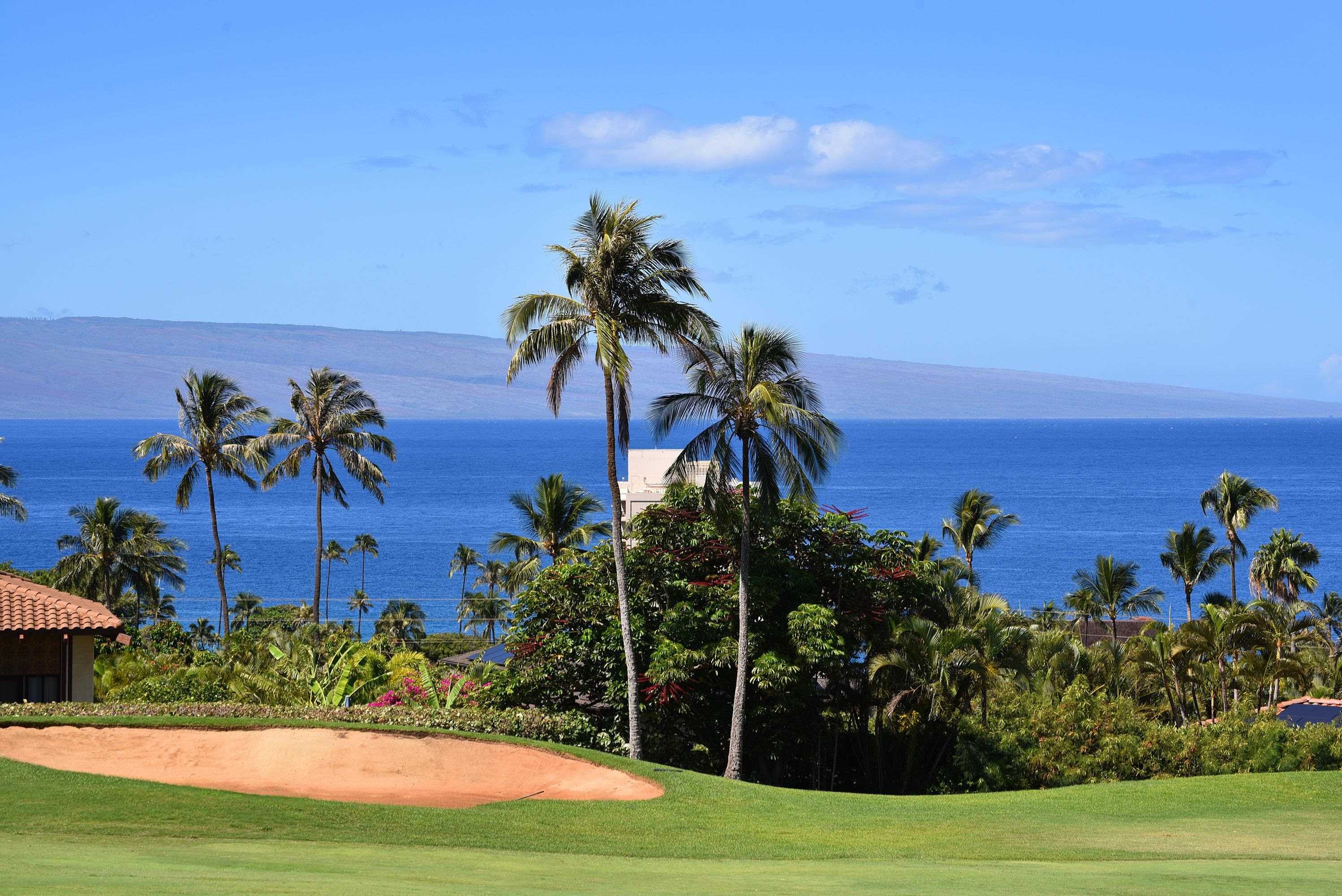 Masters condo # 703, Lahaina, Hawaii - photo 45 of 48